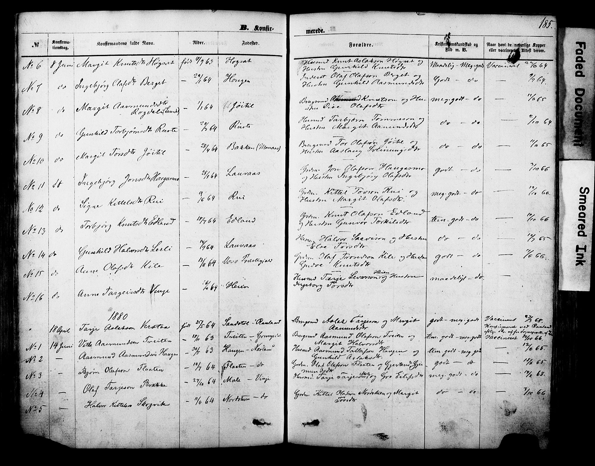 Vinje kirkebøker, SAKO/A-312/F/Fa/L0005: Parish register (official) no. I 5, 1870-1886, p. 185