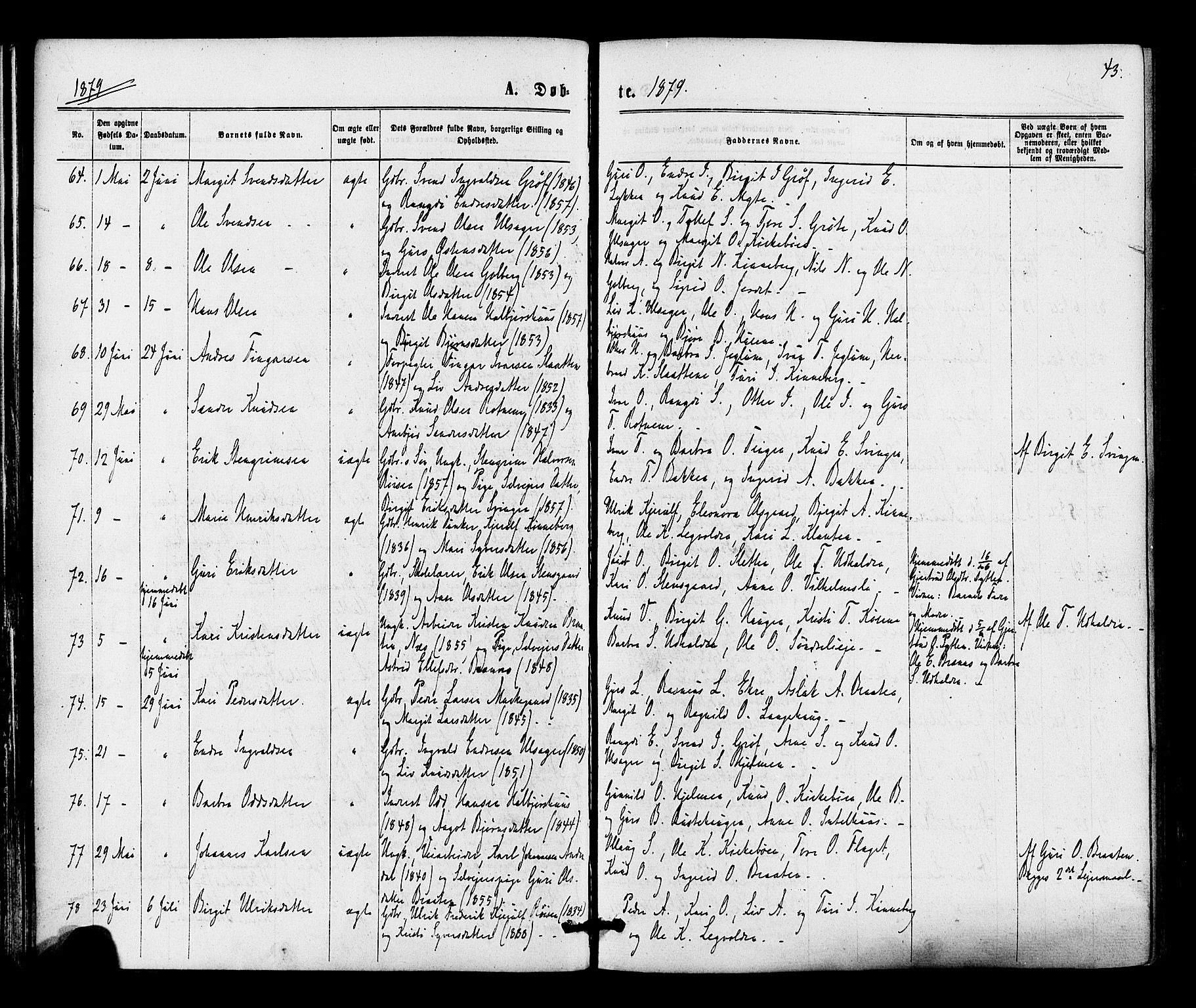 Gol kirkebøker, SAKO/A-226/F/Fa/L0004: Parish register (official) no. I 4, 1876-1886, p. 43