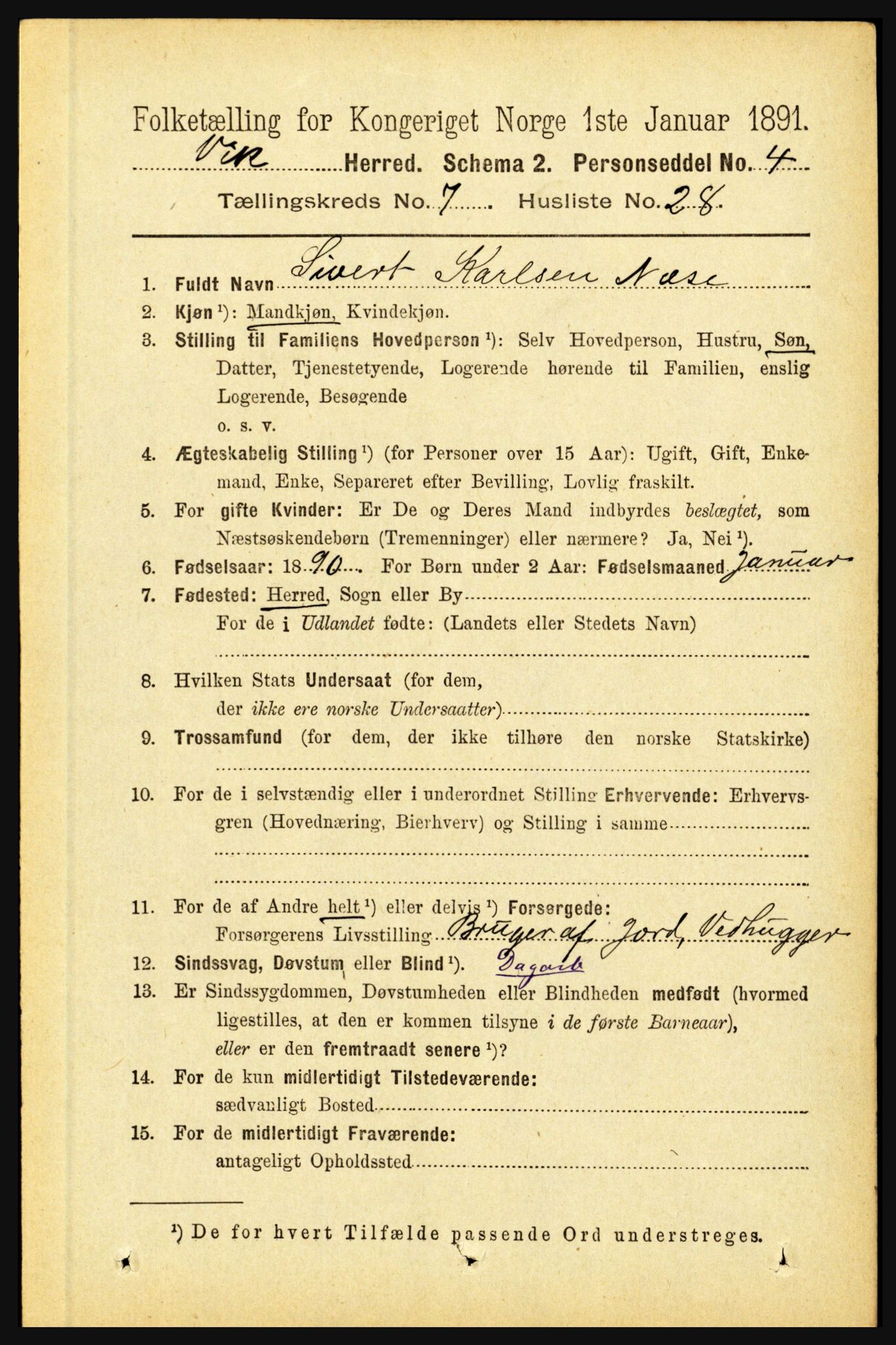 RA, 1891 census for 1417 Vik, 1891, p. 3379