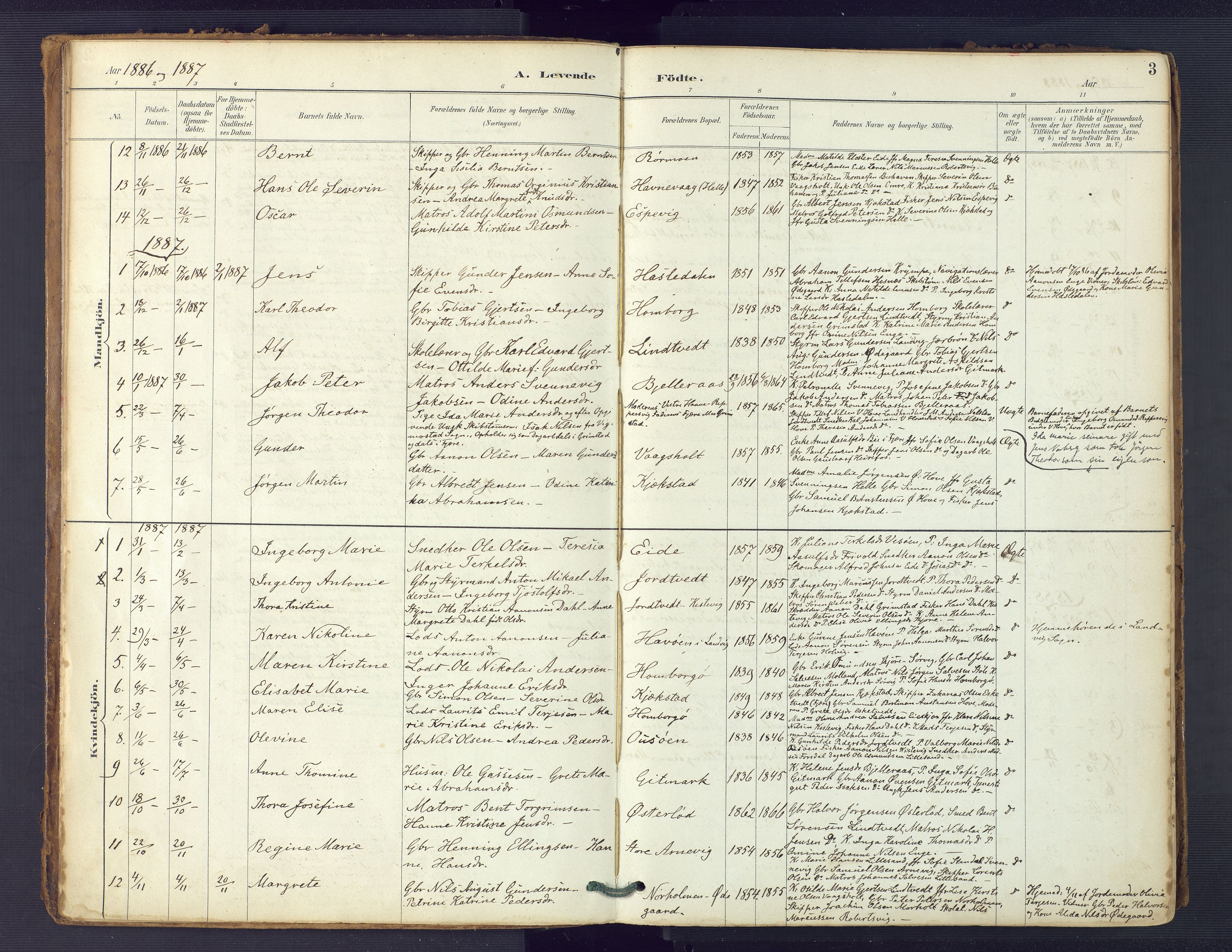 Hommedal sokneprestkontor, AV/SAK-1111-0023/F/Fa/Faa/L0003: Parish register (official) no. A 3, 1885-1916, p. 3