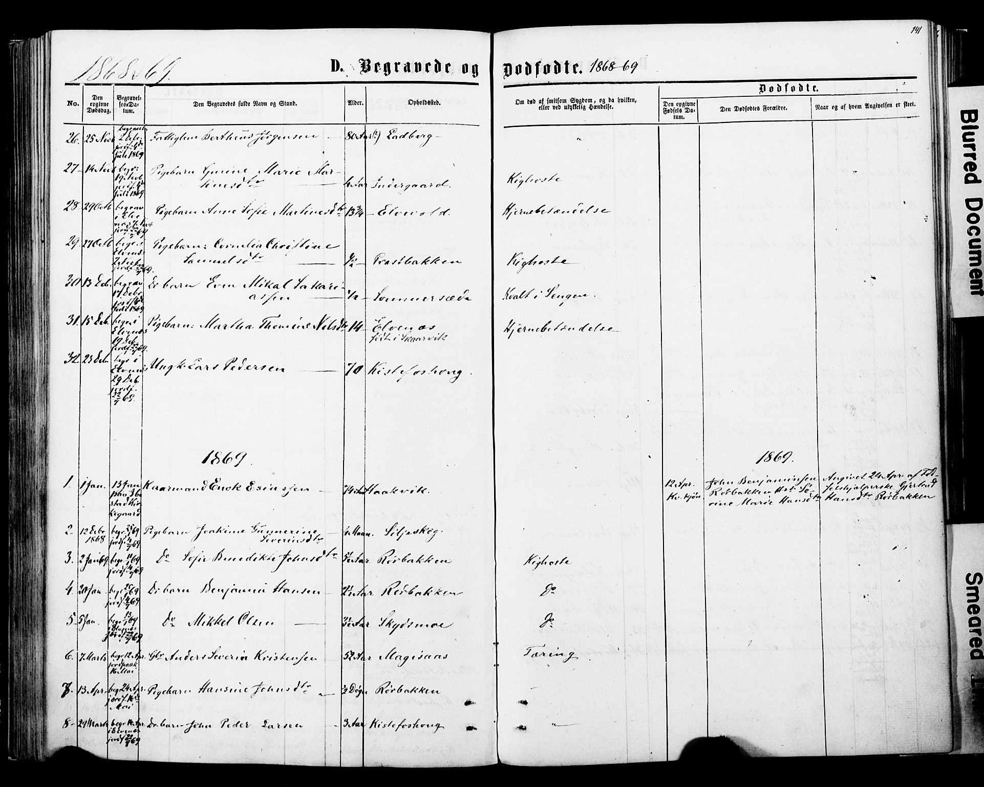 Ibestad sokneprestembete, SATØ/S-0077/H/Ha/Haa/L0013kirke: Parish register (official) no. 13, 1865-1879, p. 141