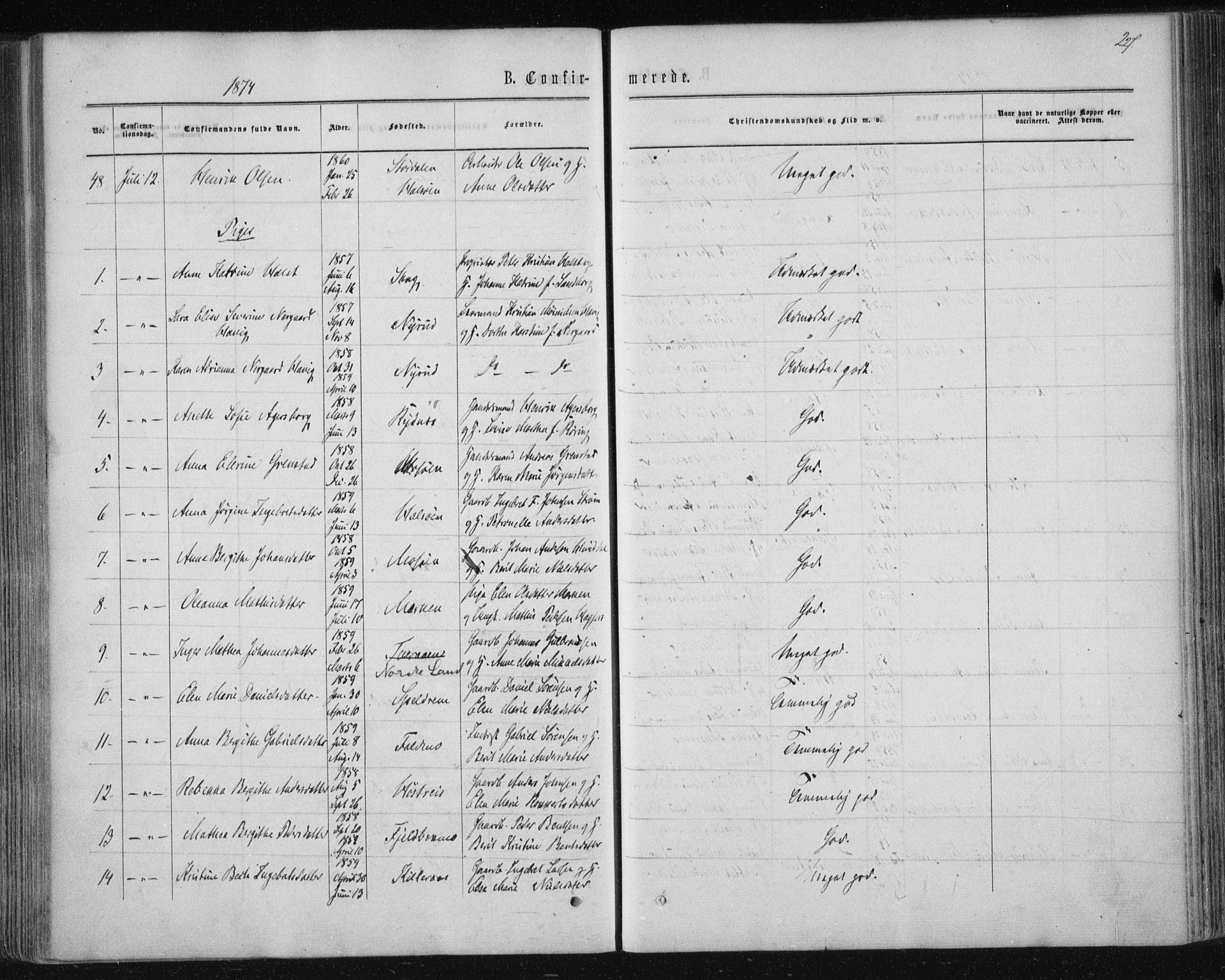 Ministerialprotokoller, klokkerbøker og fødselsregistre - Nordland, AV/SAT-A-1459/820/L0294: Parish register (official) no. 820A15, 1866-1879, p. 227