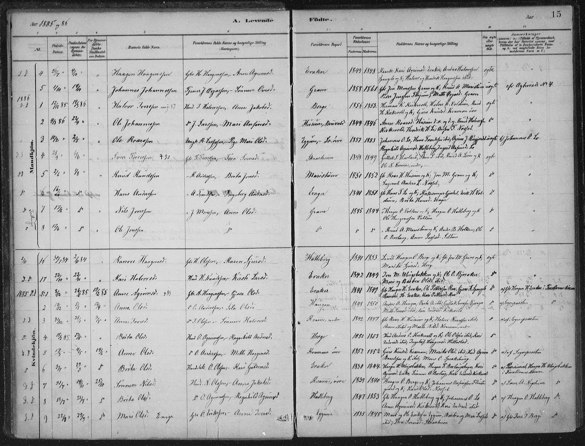 Lærdal sokneprestembete, AV/SAB-A-81201: Parish register (official) no. C  1, 1878-1911, p. 15