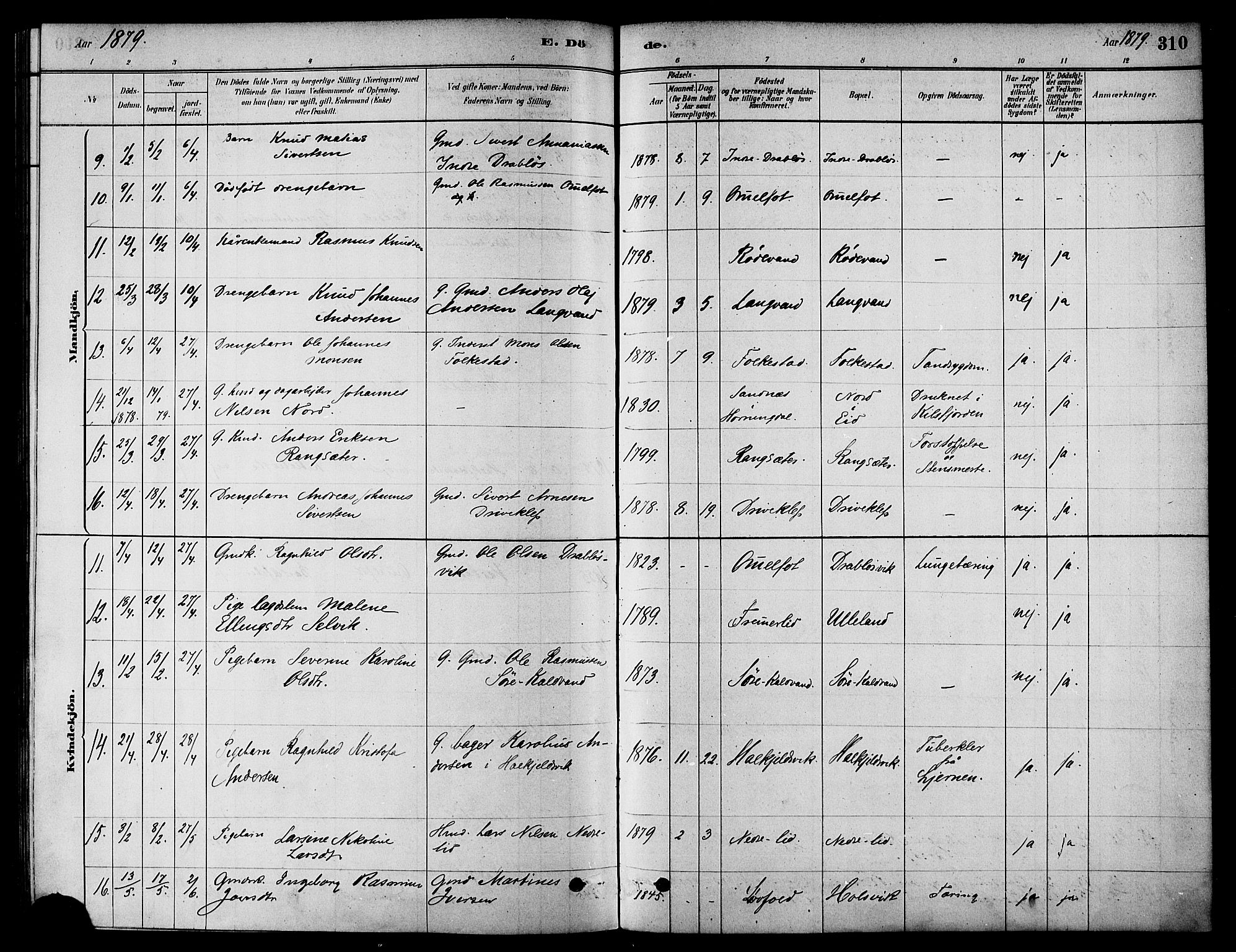 Ministerialprotokoller, klokkerbøker og fødselsregistre - Møre og Romsdal, AV/SAT-A-1454/511/L0141: Parish register (official) no. 511A08, 1878-1890, p. 310