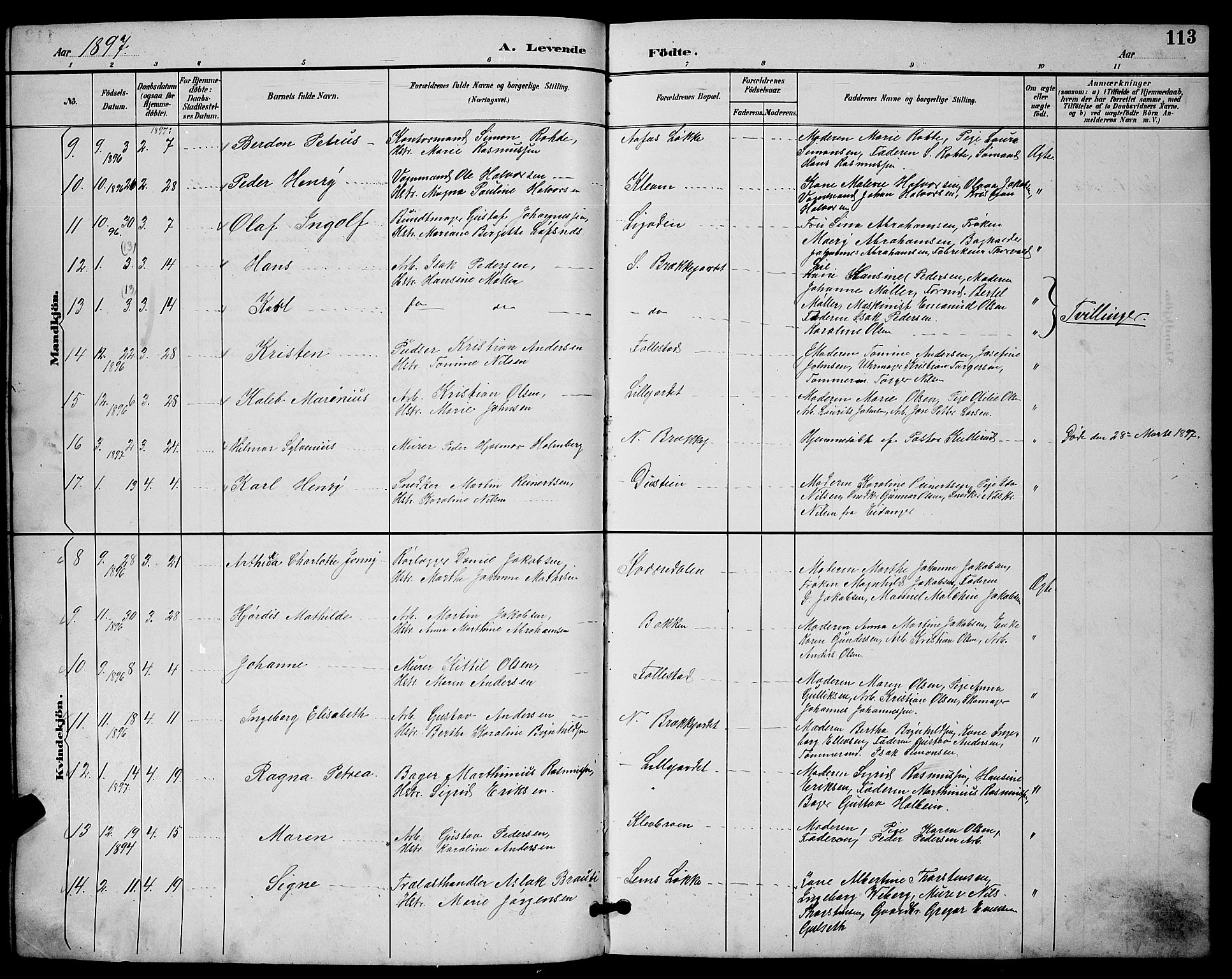 Skien kirkebøker, SAKO/A-302/G/Ga/L0007: Parish register (copy) no. 7, 1891-1900, p. 113
