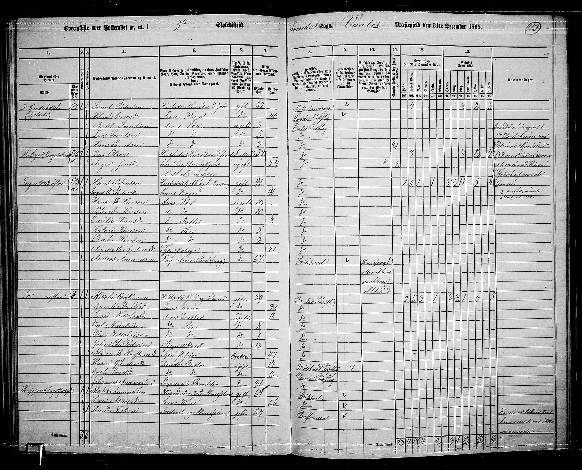 RA, 1865 census for Våler, 1865, p. 99