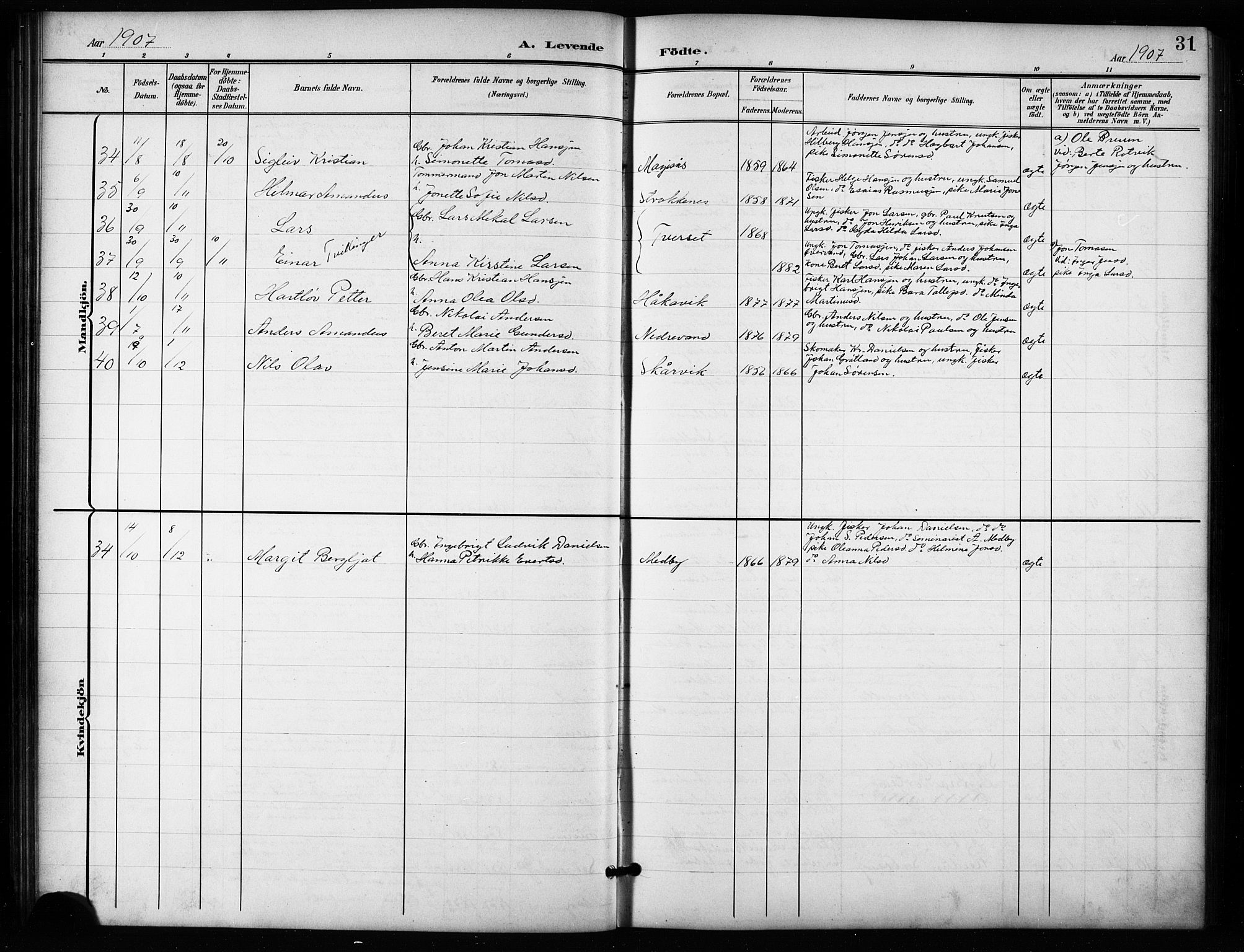 Salangen sokneprestembete, SATØ/S-1324/H/Ha/L0004klokker: Parish register (copy) no. 4, 1900-1924, p. 31