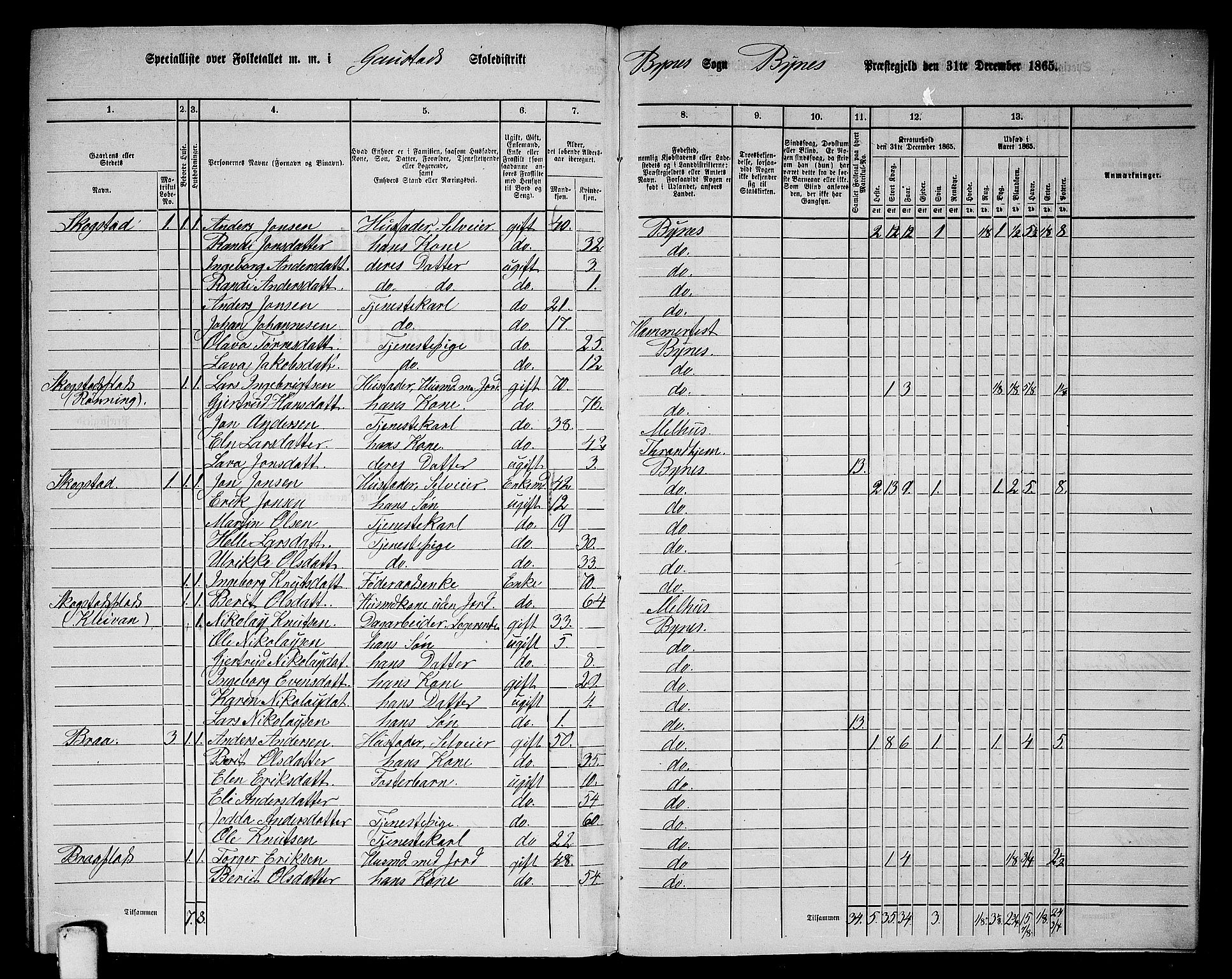 RA, 1865 census for Byneset, 1865, p. 115