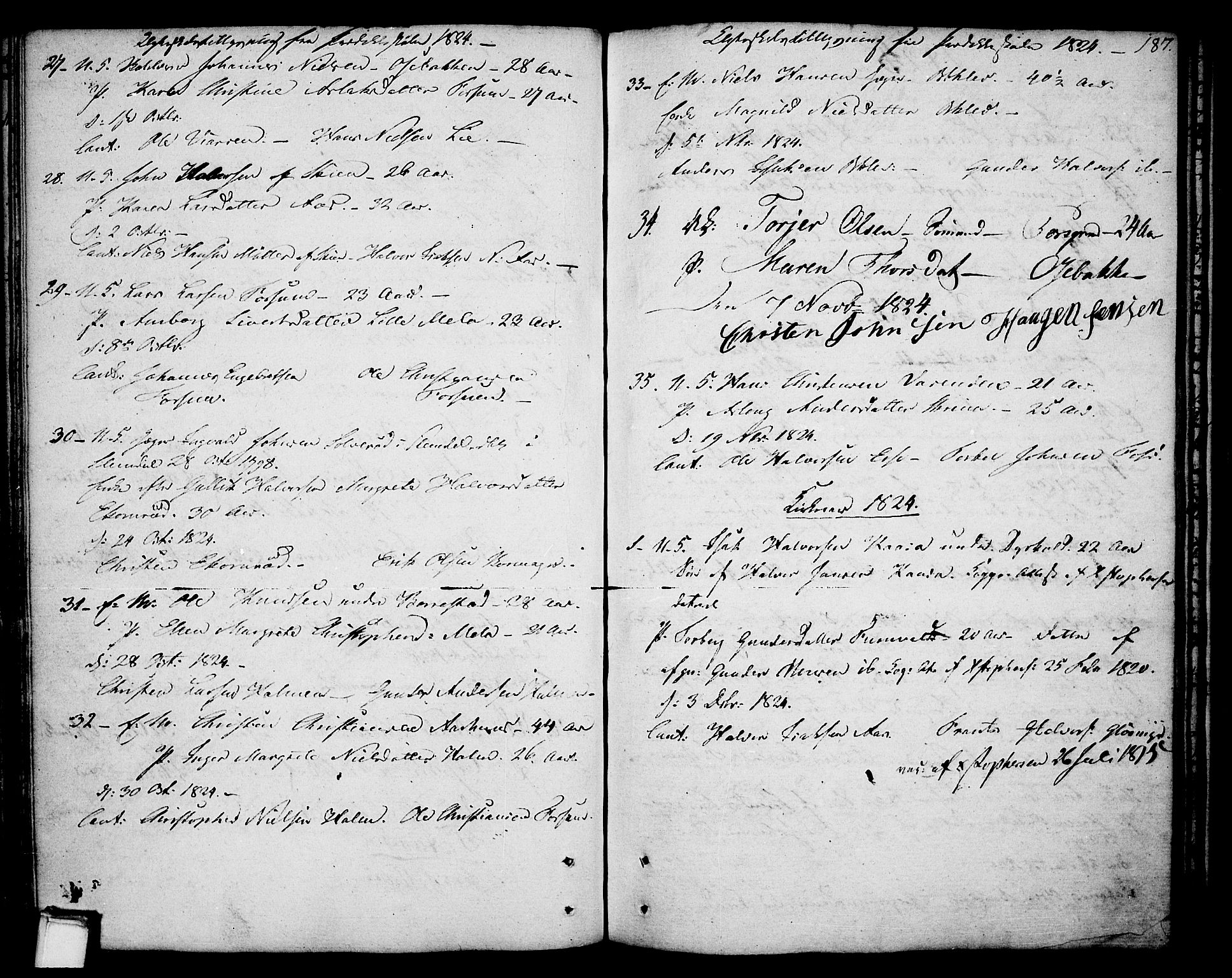 Gjerpen kirkebøker, SAKO/A-265/F/Fa/L0003: Parish register (official) no. I 3, 1796-1814, p. 187