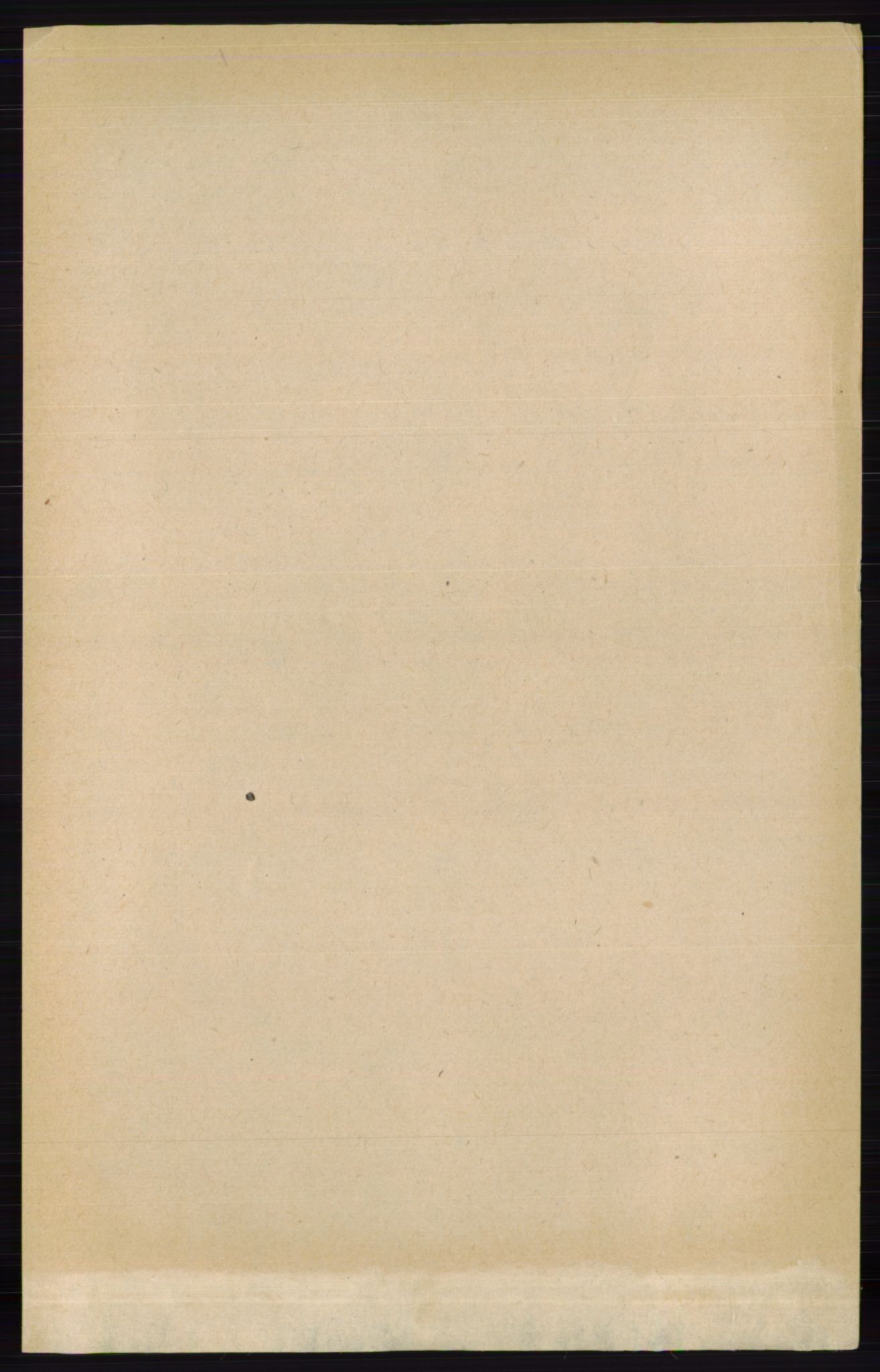 RA, 1891 census for 0419 Sør-Odal, 1891, p. 5390