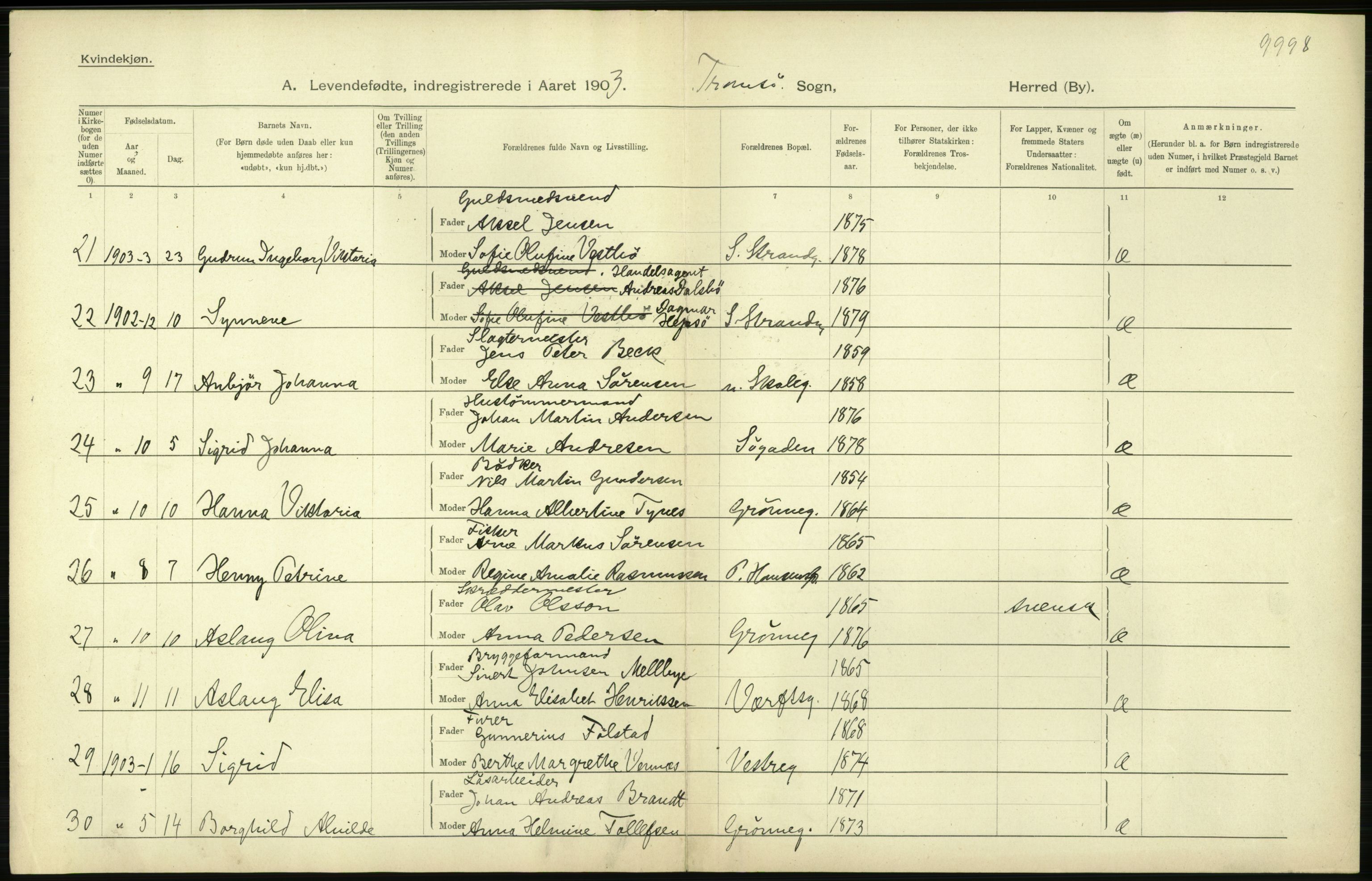 Statistisk sentralbyrå, Sosiodemografiske emner, Befolkning, RA/S-2228/D/Df/Dfa/Dfaa/L0021: Tromsø amt: Fødte, gifte, døde., 1903, p. 294