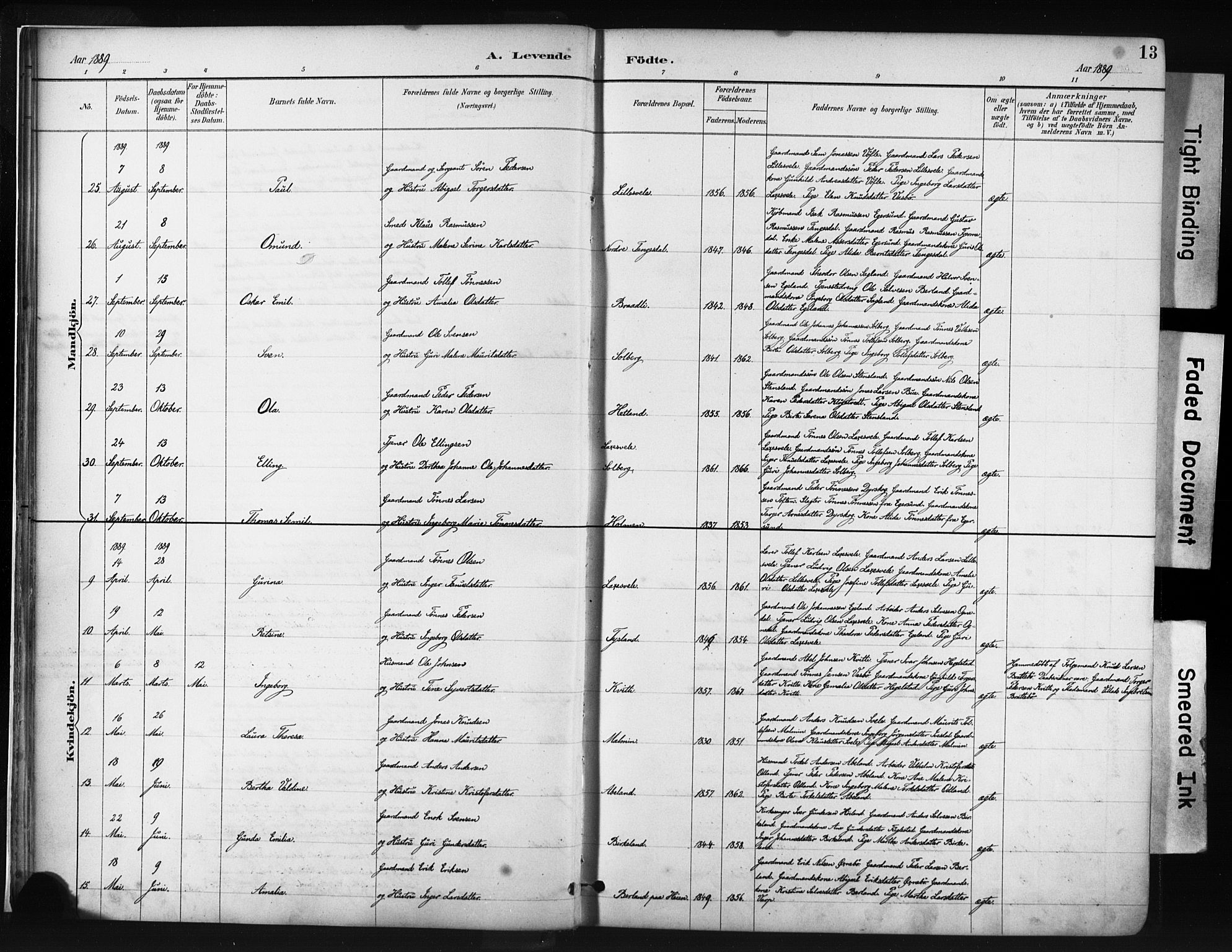 Helleland sokneprestkontor, AV/SAST-A-101810: Parish register (official) no. A 9, 1887-1908, p. 13