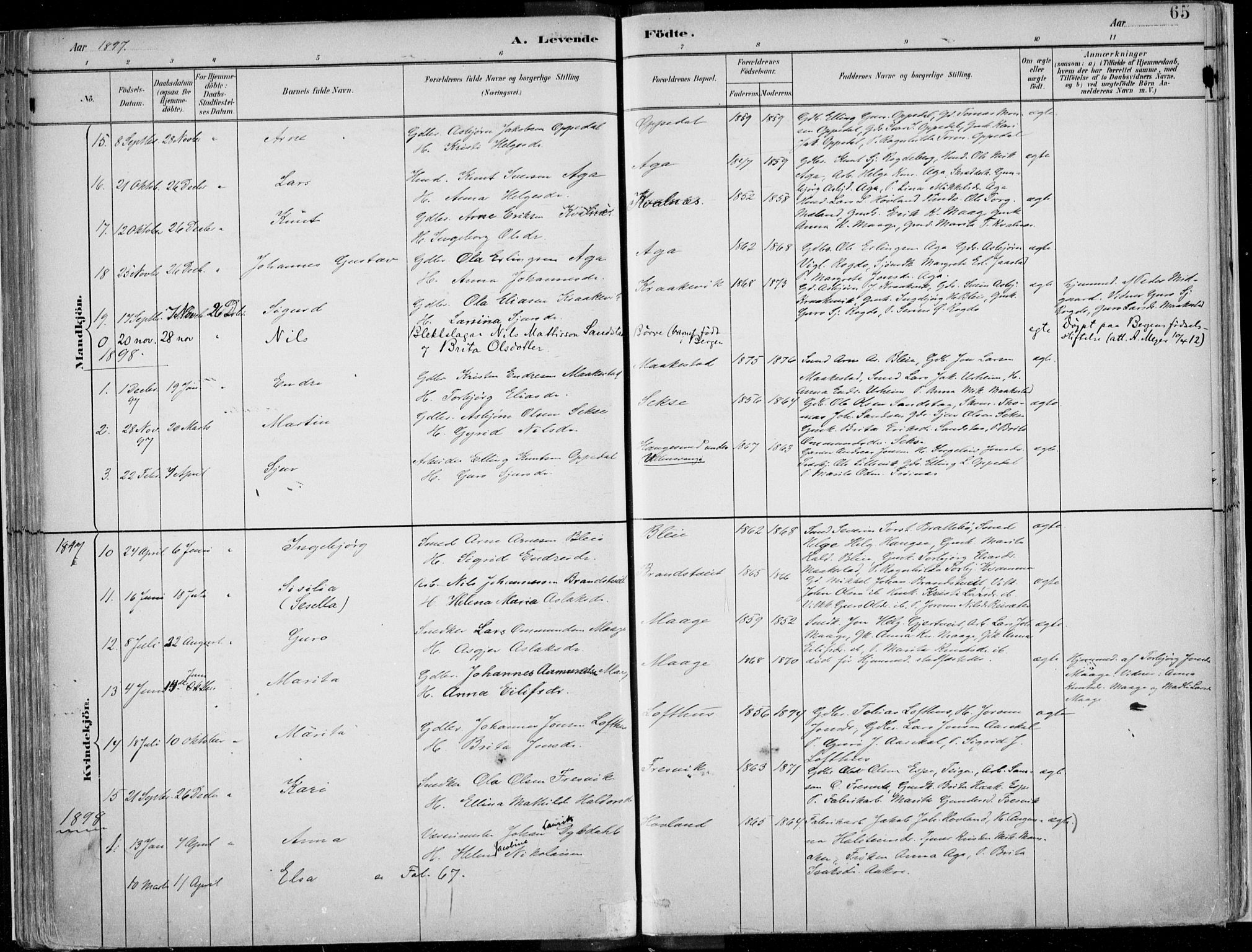 Ullensvang sokneprestembete, SAB/A-78701/H/Haa: Parish register (official) no. B  1, 1882-1918, p. 65