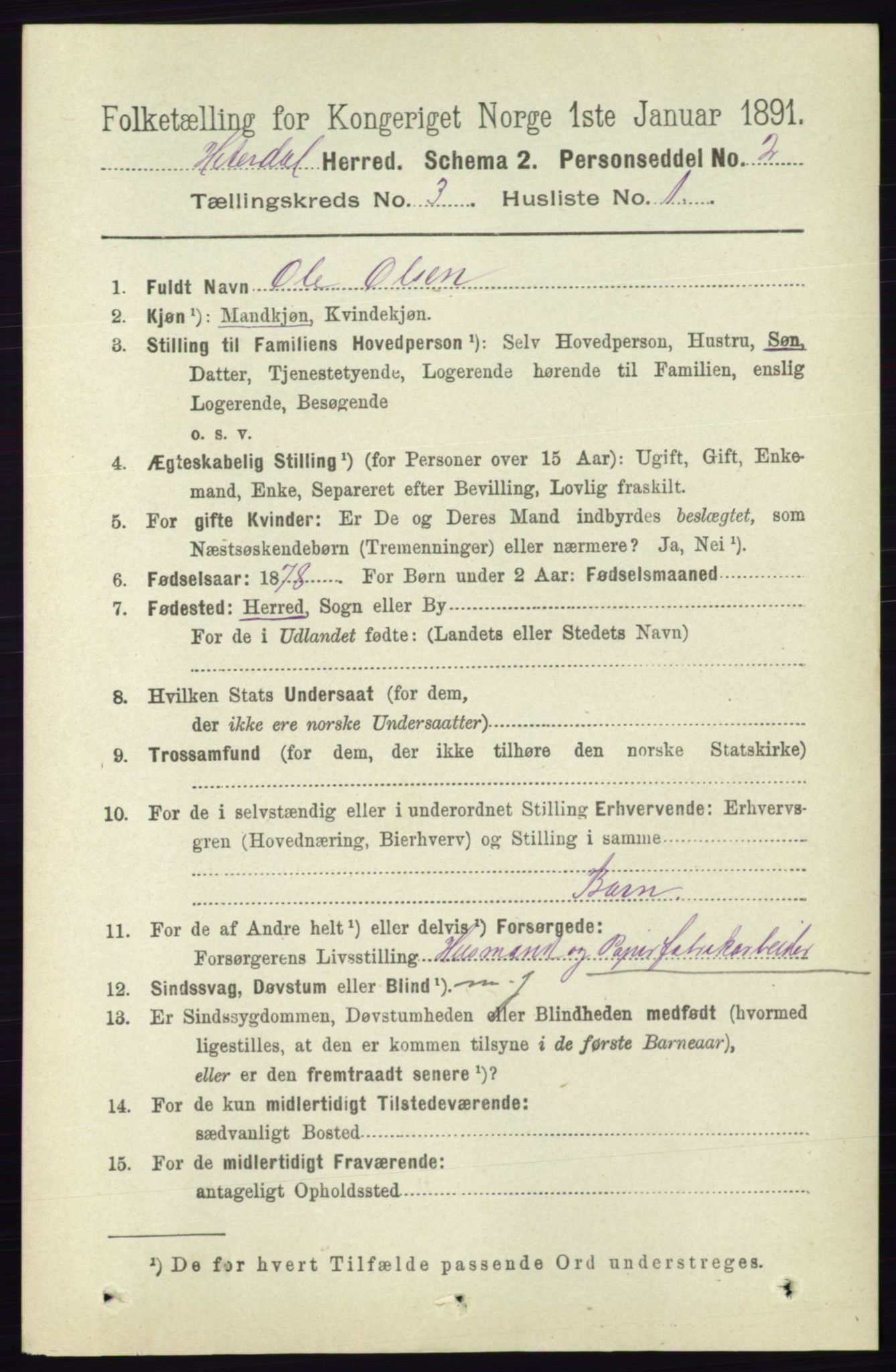 RA, 1891 census for 0823 Heddal, 1891, p. 1001