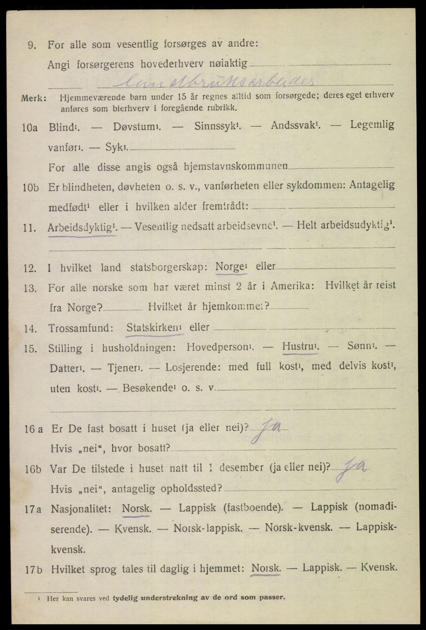 SAT, 1920 census for Bodin, 1920, p. 2915