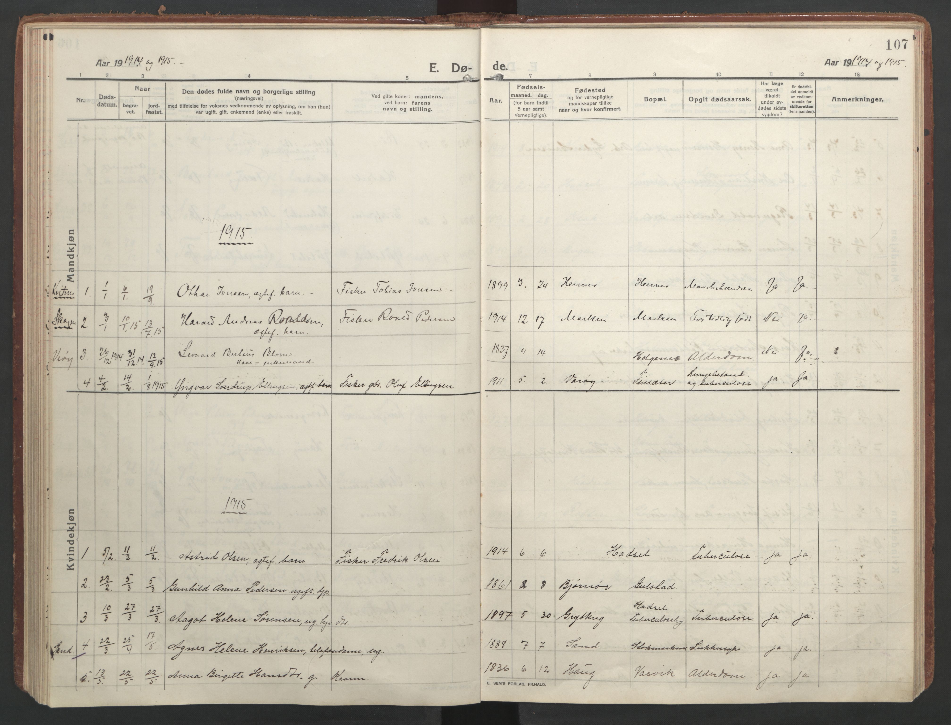 Ministerialprotokoller, klokkerbøker og fødselsregistre - Nordland, SAT/A-1459/888/L1251: Parish register (official) no. 888A17, 1913-1925, p. 107