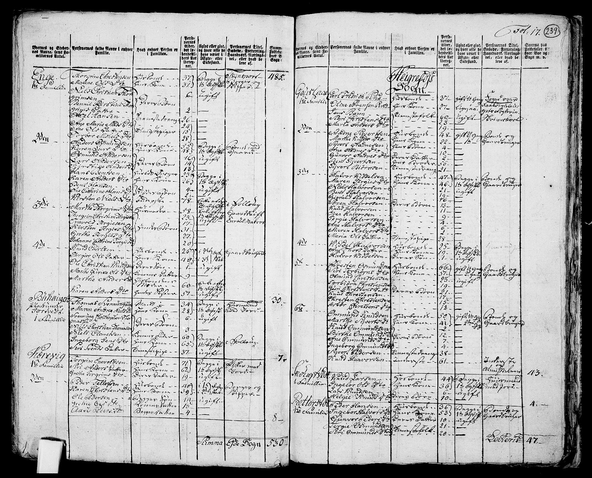 RA, 1801 census for 0924P Homedal, 1801, p. 238b-239a