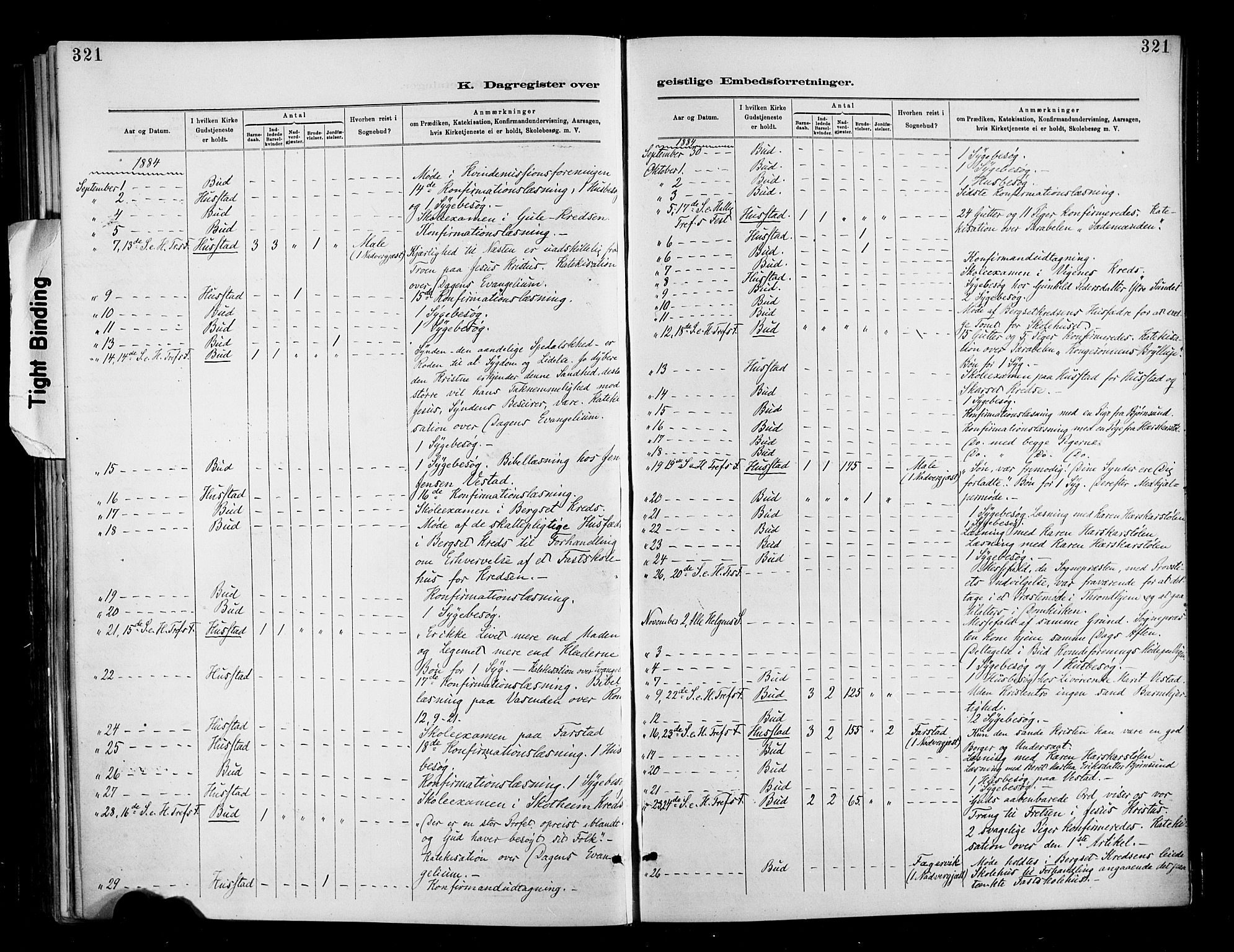 Ministerialprotokoller, klokkerbøker og fødselsregistre - Møre og Romsdal, AV/SAT-A-1454/566/L0769: Parish register (official) no. 566A08, 1881-1903, p. 321