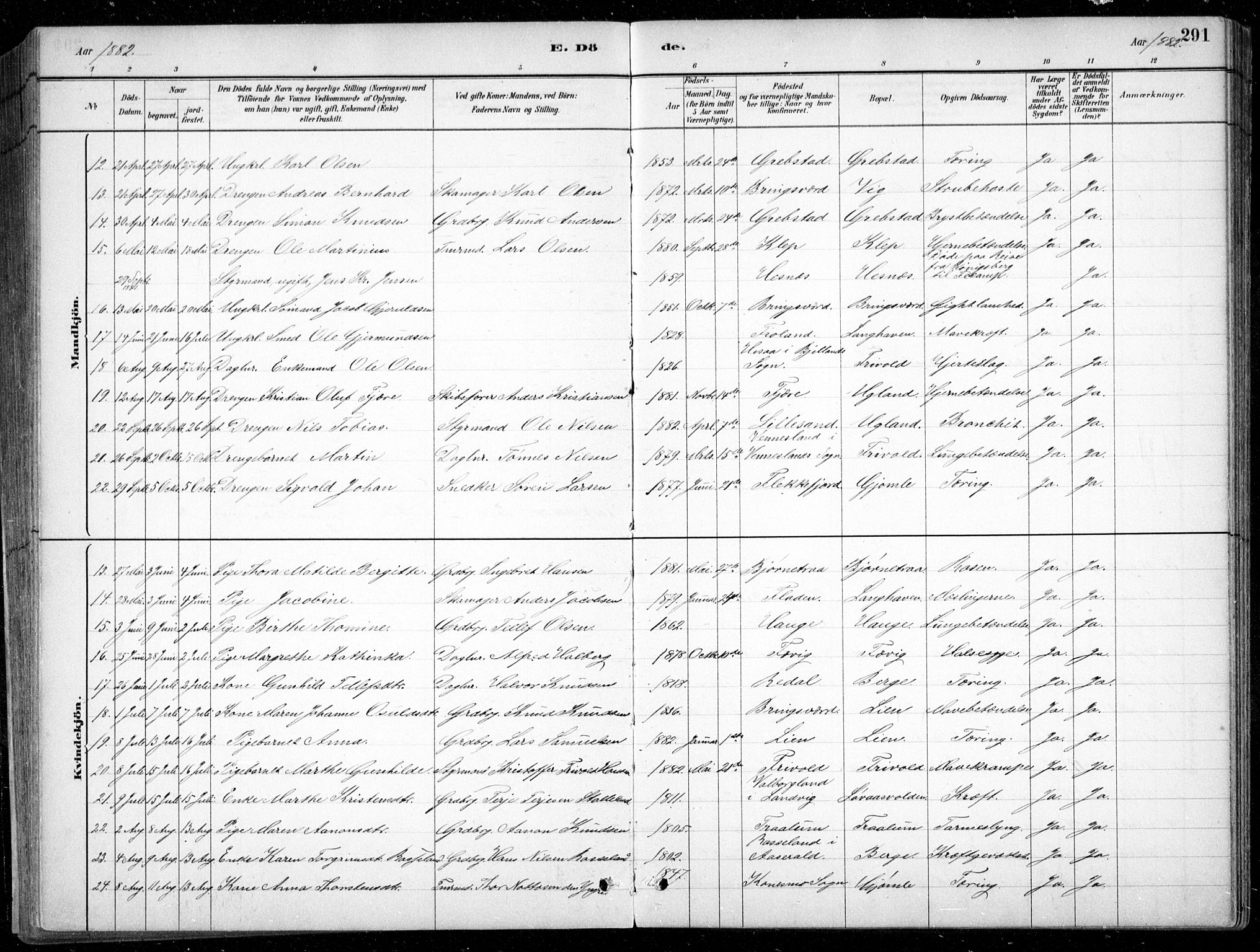 Fjære sokneprestkontor, SAK/1111-0011/F/Fb/L0011: Parish register (copy) no. B 11, 1881-1905, p. 291