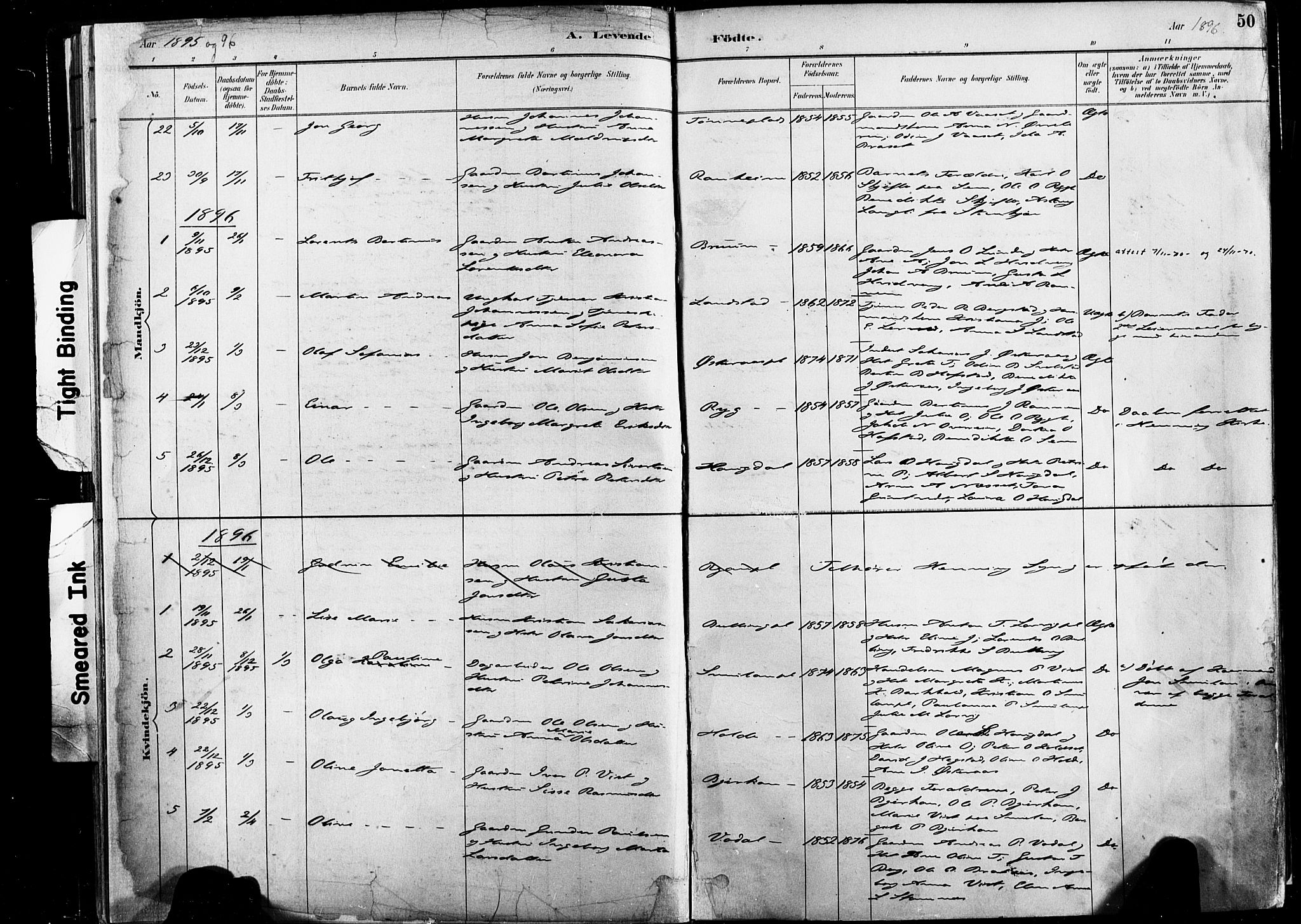 Ministerialprotokoller, klokkerbøker og fødselsregistre - Nord-Trøndelag, AV/SAT-A-1458/735/L0351: Parish register (official) no. 735A10, 1884-1908, p. 50