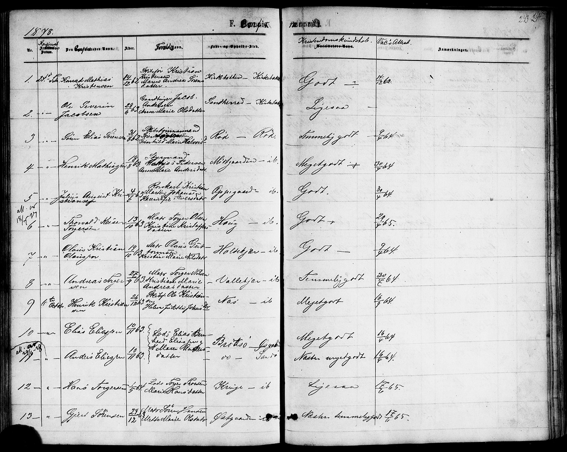 Nøtterøy kirkebøker, AV/SAKO-A-354/F/Fb/L0001: Parish register (official) no. II 1, 1865-1878, p. 243