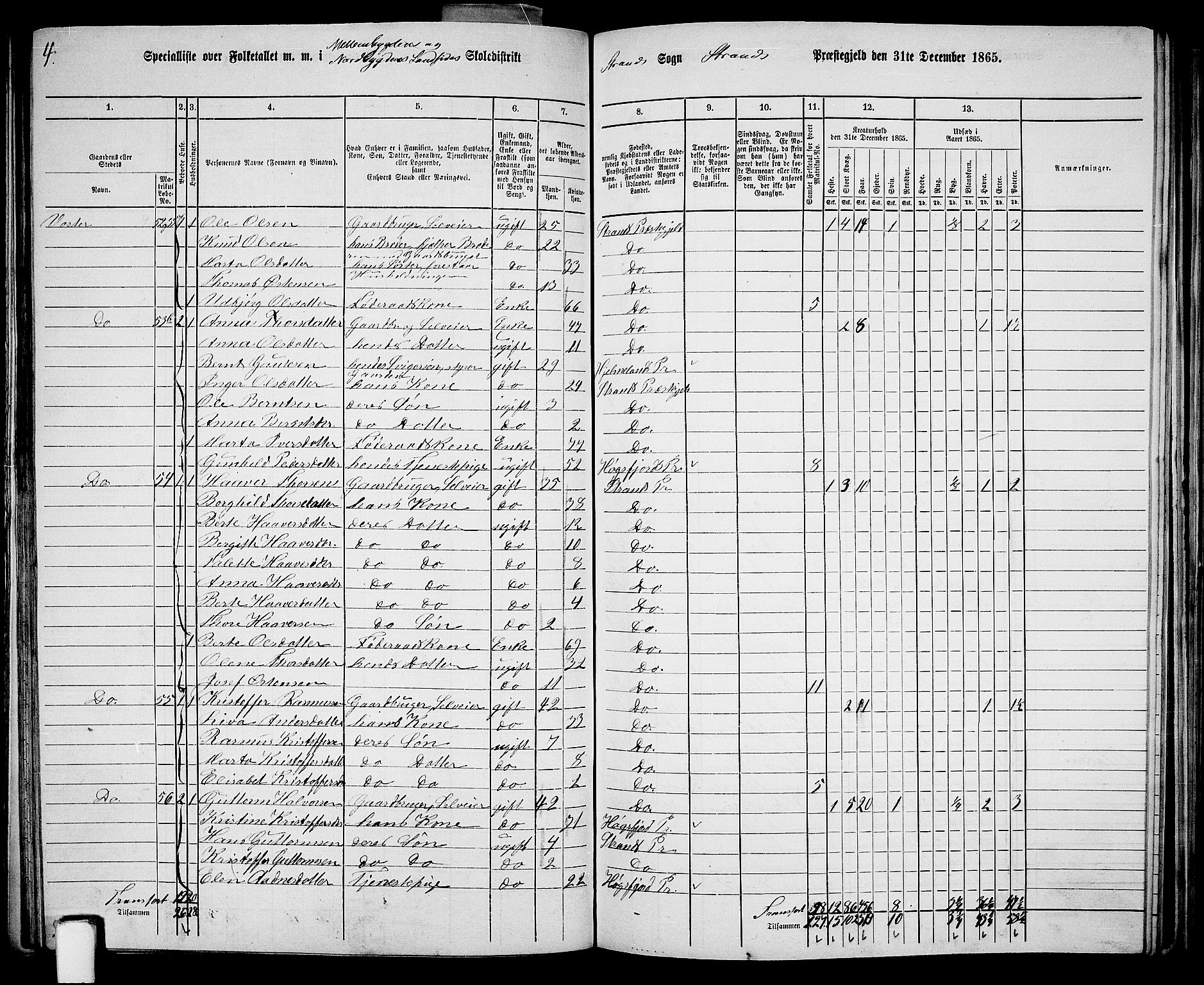 RA, 1865 census for Strand, 1865, p. 26