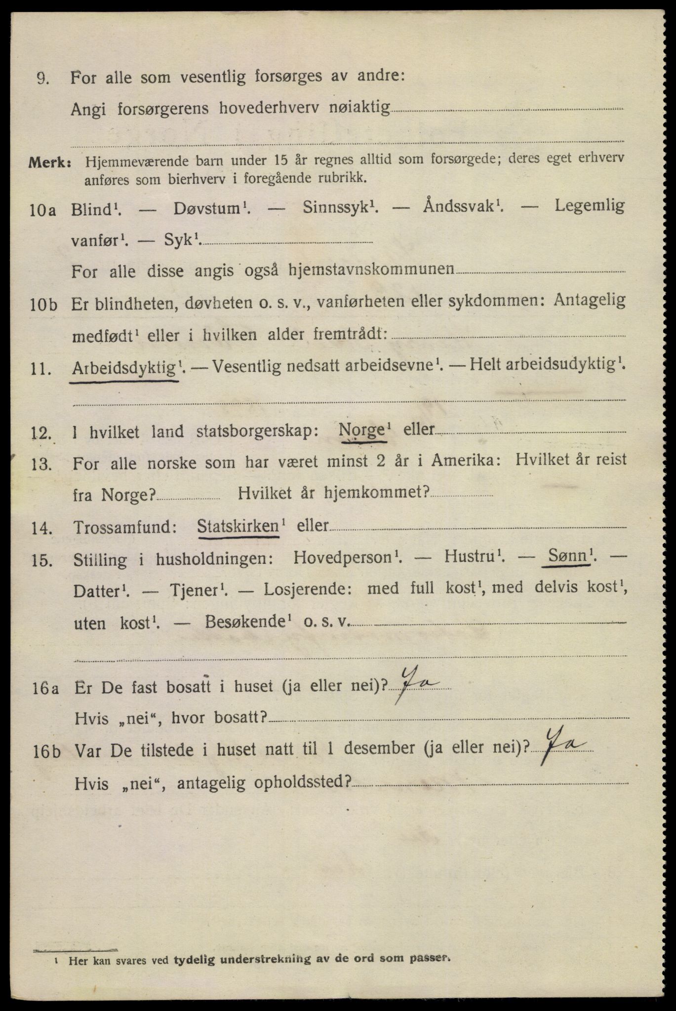 SAKO, 1920 census for Skien, 1920, p. 15165