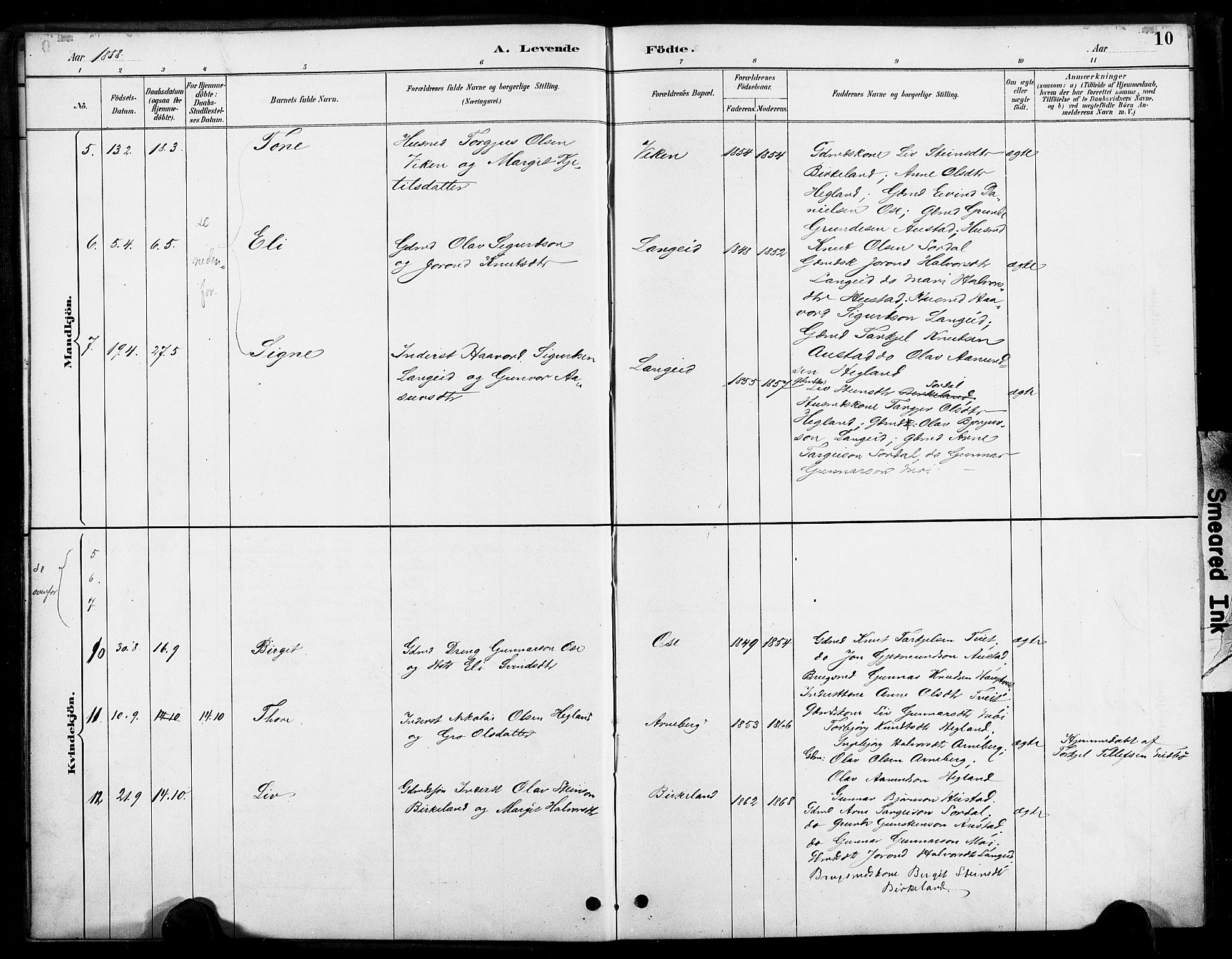 Bygland sokneprestkontor, AV/SAK-1111-0006/F/Fa/Faa/L0001: Parish register (official) no. A 1, 1885-1908, p. 10