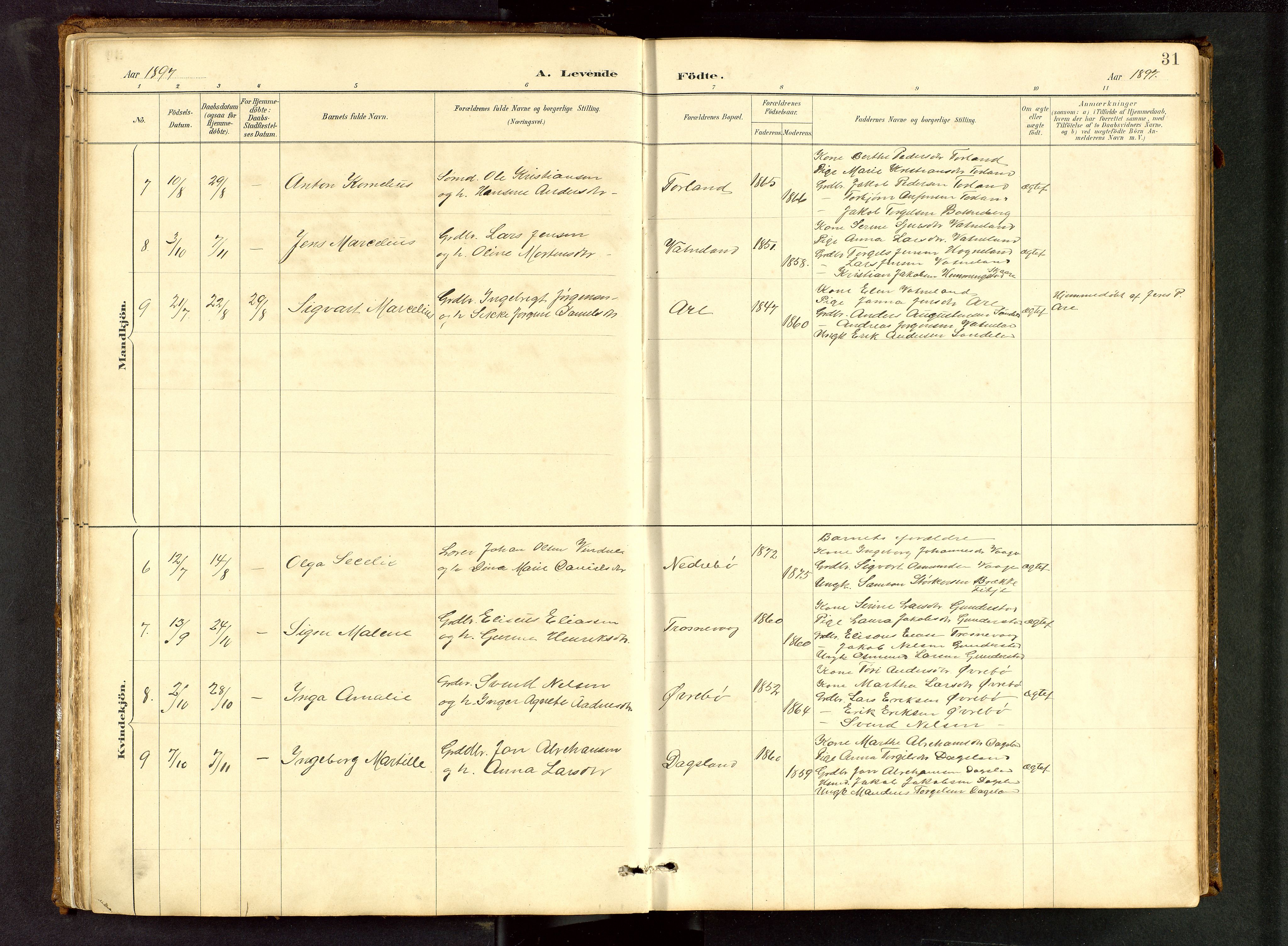 Tysvær sokneprestkontor, AV/SAST-A -101864/H/Ha/Hab/L0005: Parish register (copy) no. B 5, 1887-1947, p. 31