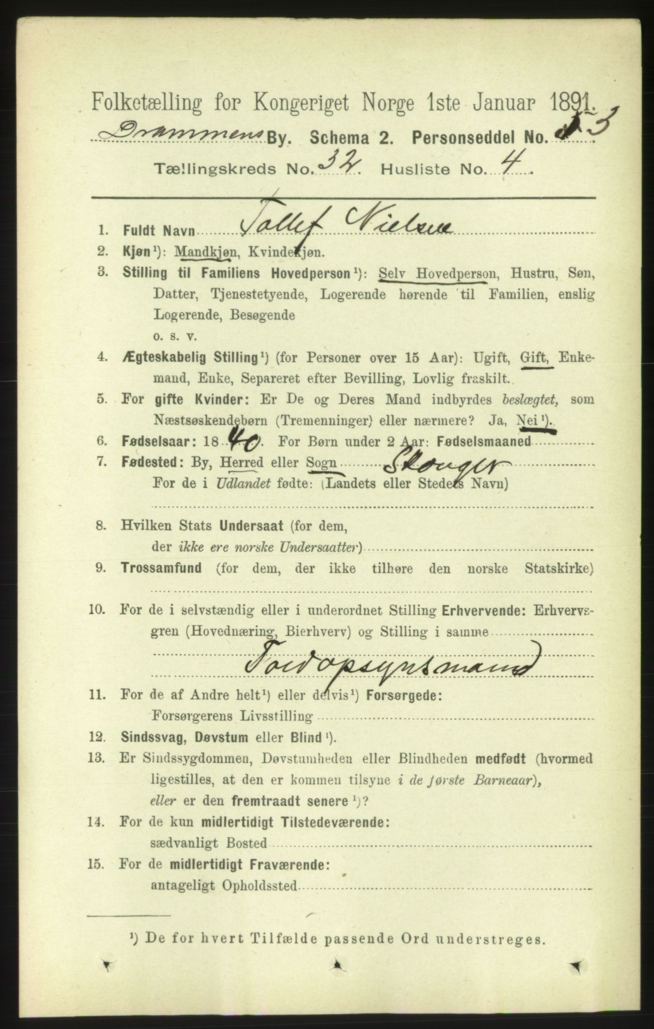 RA, 1891 census for 0602 Drammen, 1891, p. 19300