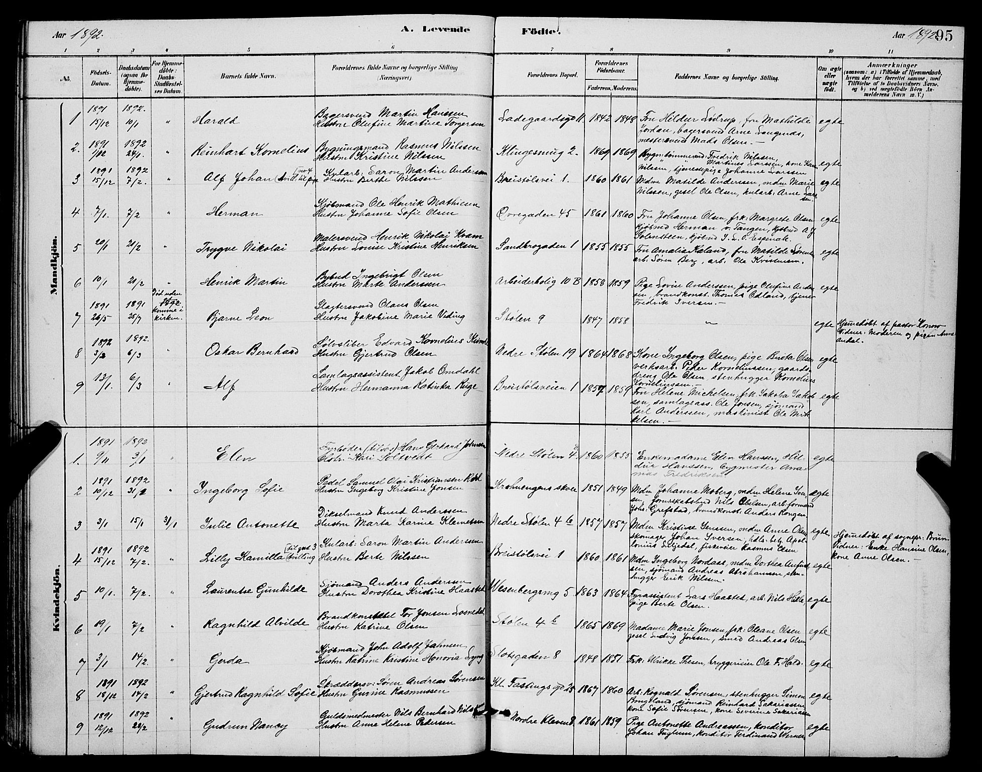 Mariakirken Sokneprestembete, SAB/A-76901/H/Hab/L0004: Parish register (copy) no. A 4, 1878-1892, p. 95