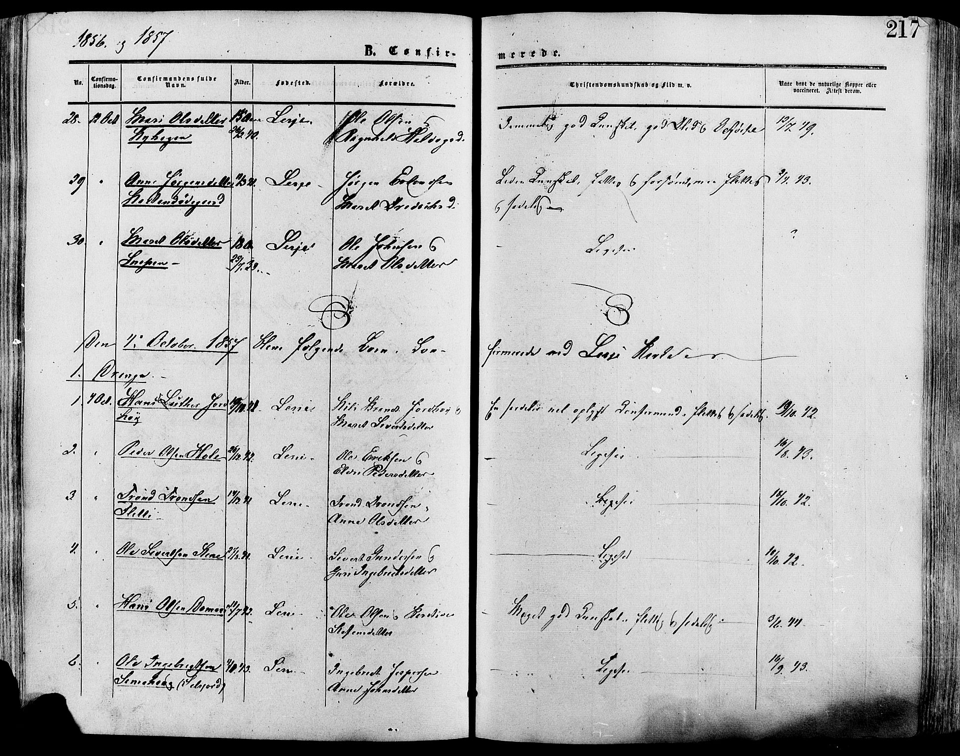 Lesja prestekontor, SAH/PREST-068/H/Ha/Haa/L0008: Parish register (official) no. 8, 1854-1880, p. 217
