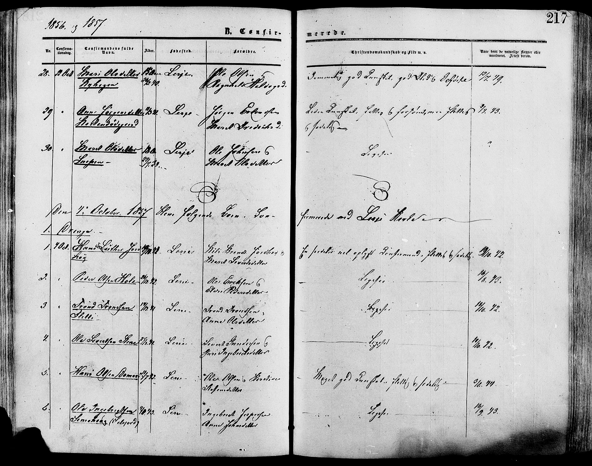 Lesja prestekontor, AV/SAH-PREST-068/H/Ha/Haa/L0008: Parish register (official) no. 8, 1854-1880, p. 217