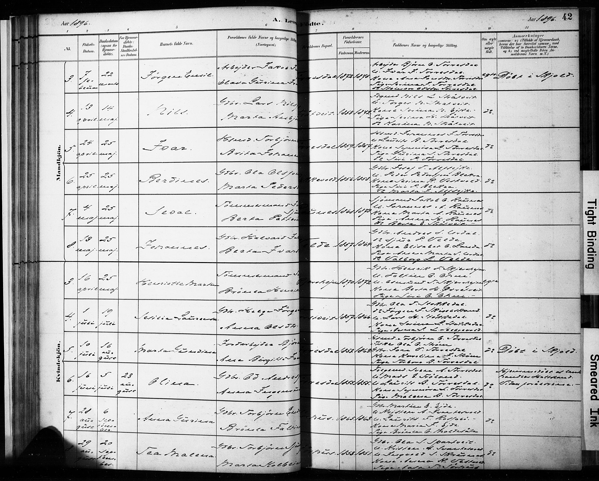 Skjold sokneprestkontor, AV/SAST-A-101847/H/Ha/Haa/L0009: Parish register (official) no. A 9, 1882-1898, p. 42