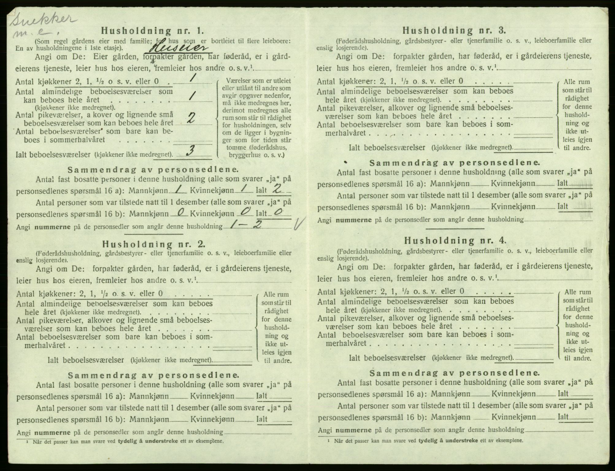 SAB, 1920 census for Kinsarvik, 1920, p. 219