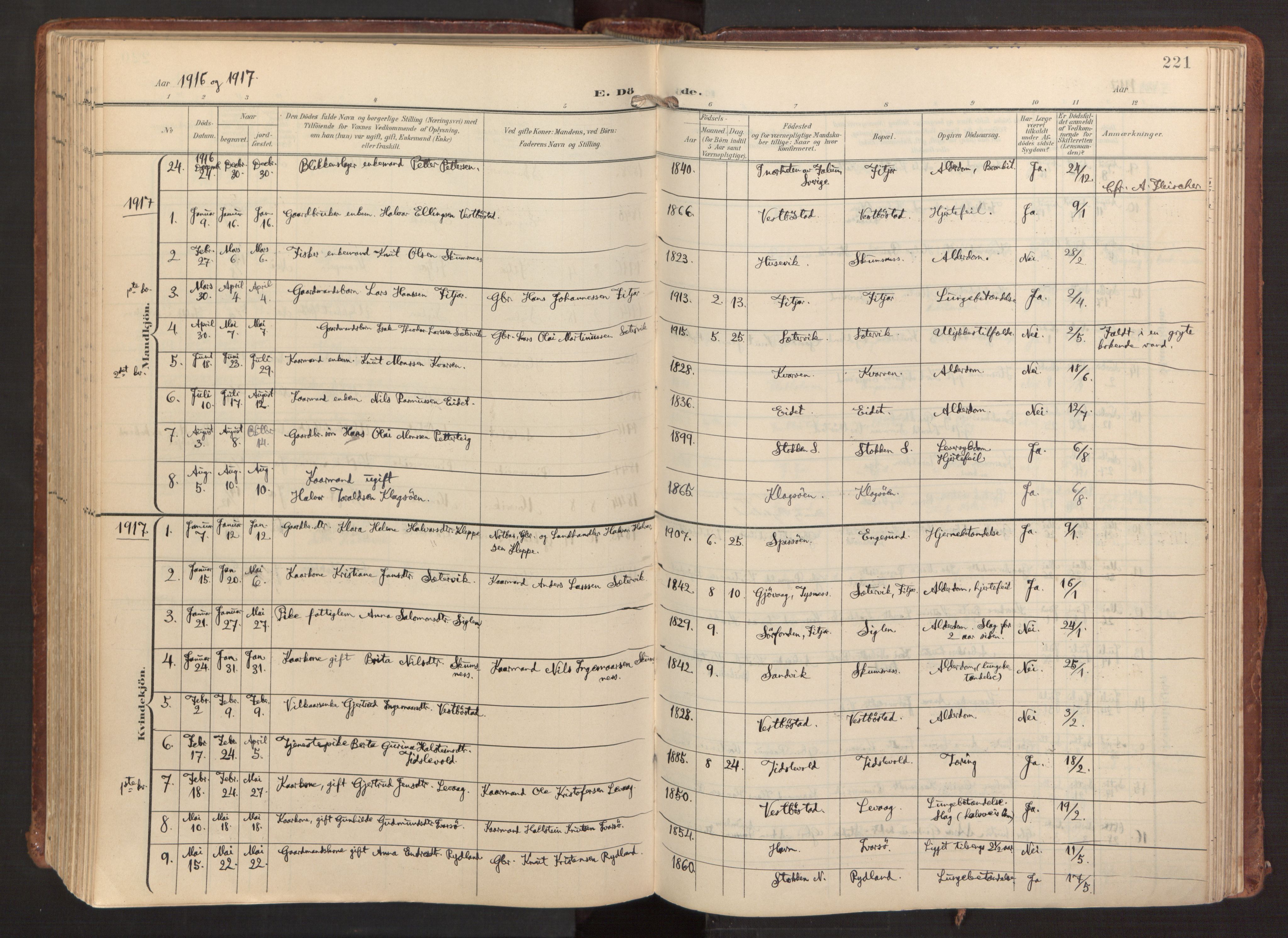 Fitjar sokneprestembete, SAB/A-99926: Parish register (official) no. A 3, 1900-1918, p. 221