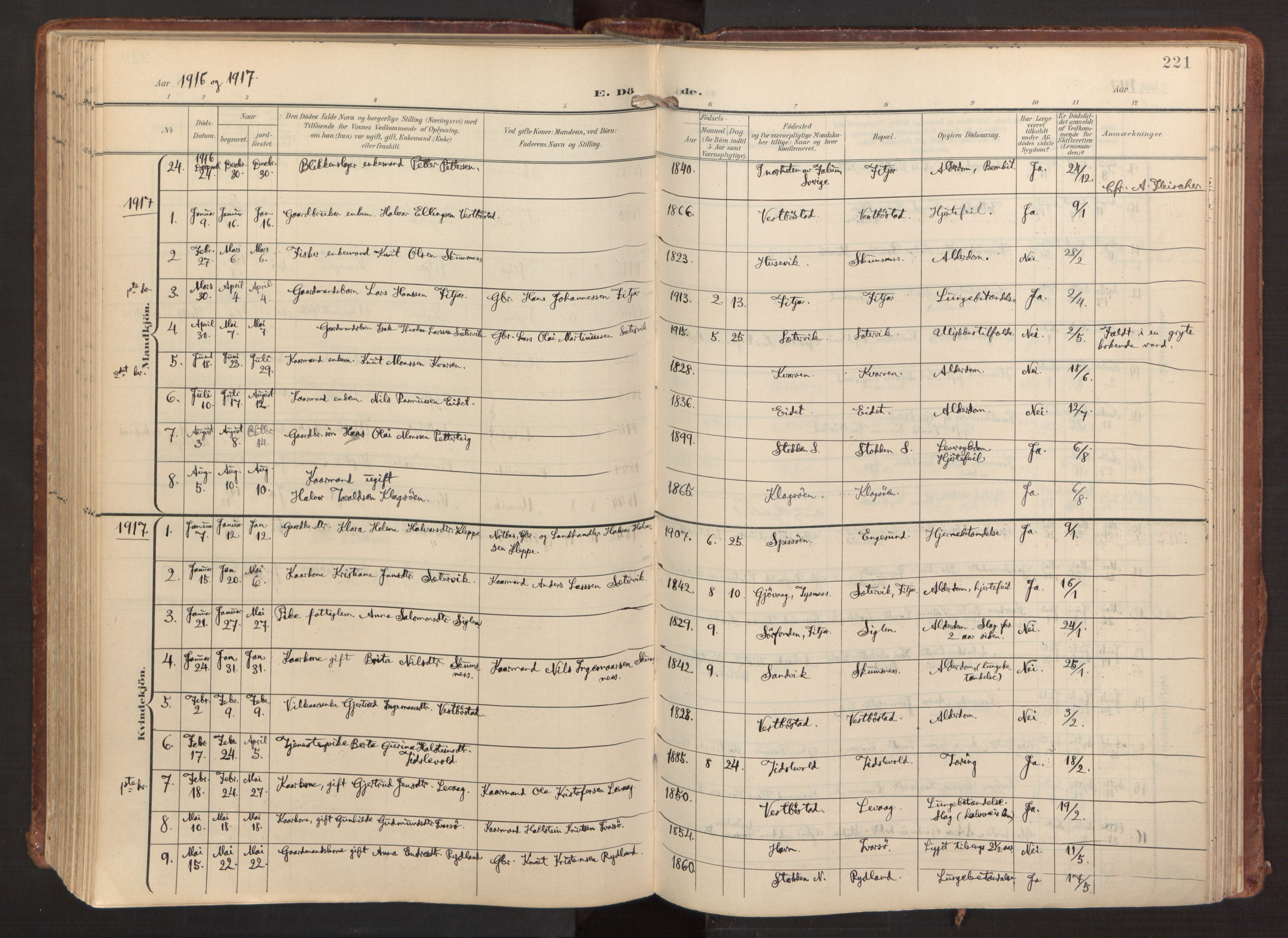 Fitjar sokneprestembete, AV/SAB-A-99926: Parish register (official) no. A 3, 1900-1918, p. 221