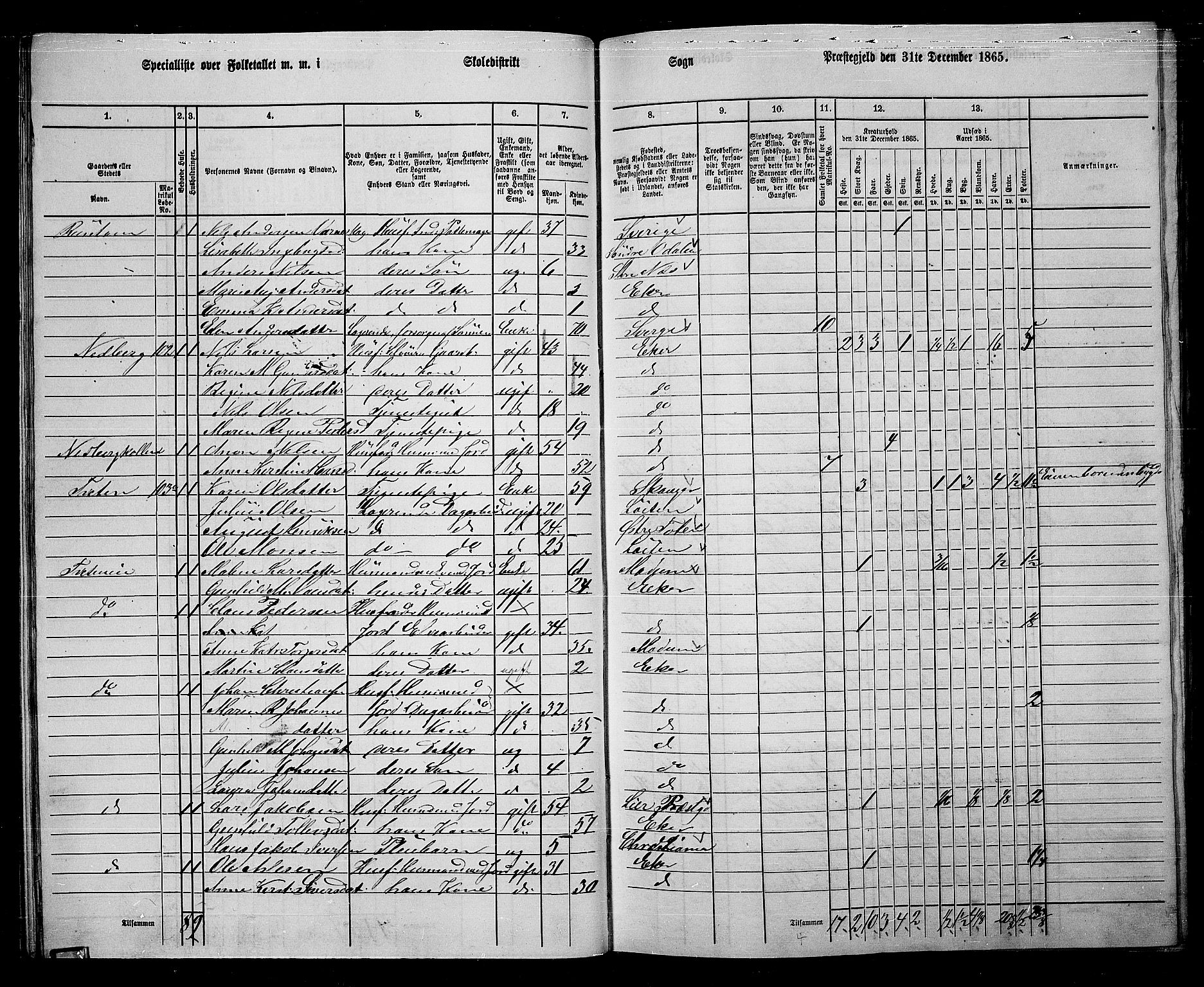 RA, 1865 census for Eiker, 1865, p. 35