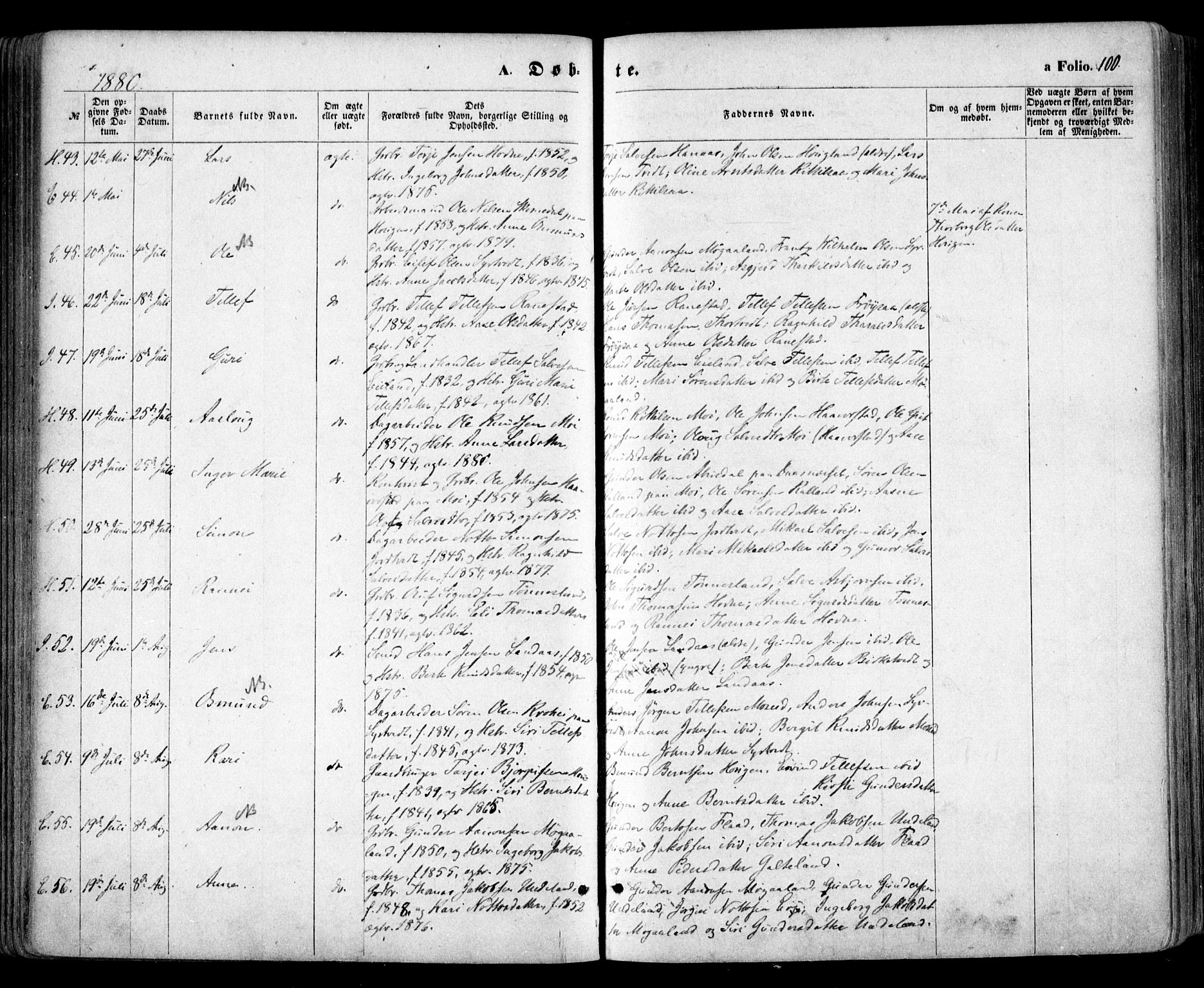 Evje sokneprestkontor, AV/SAK-1111-0008/F/Fa/Faa/L0006: Parish register (official) no. A 6, 1866-1884, p. 100