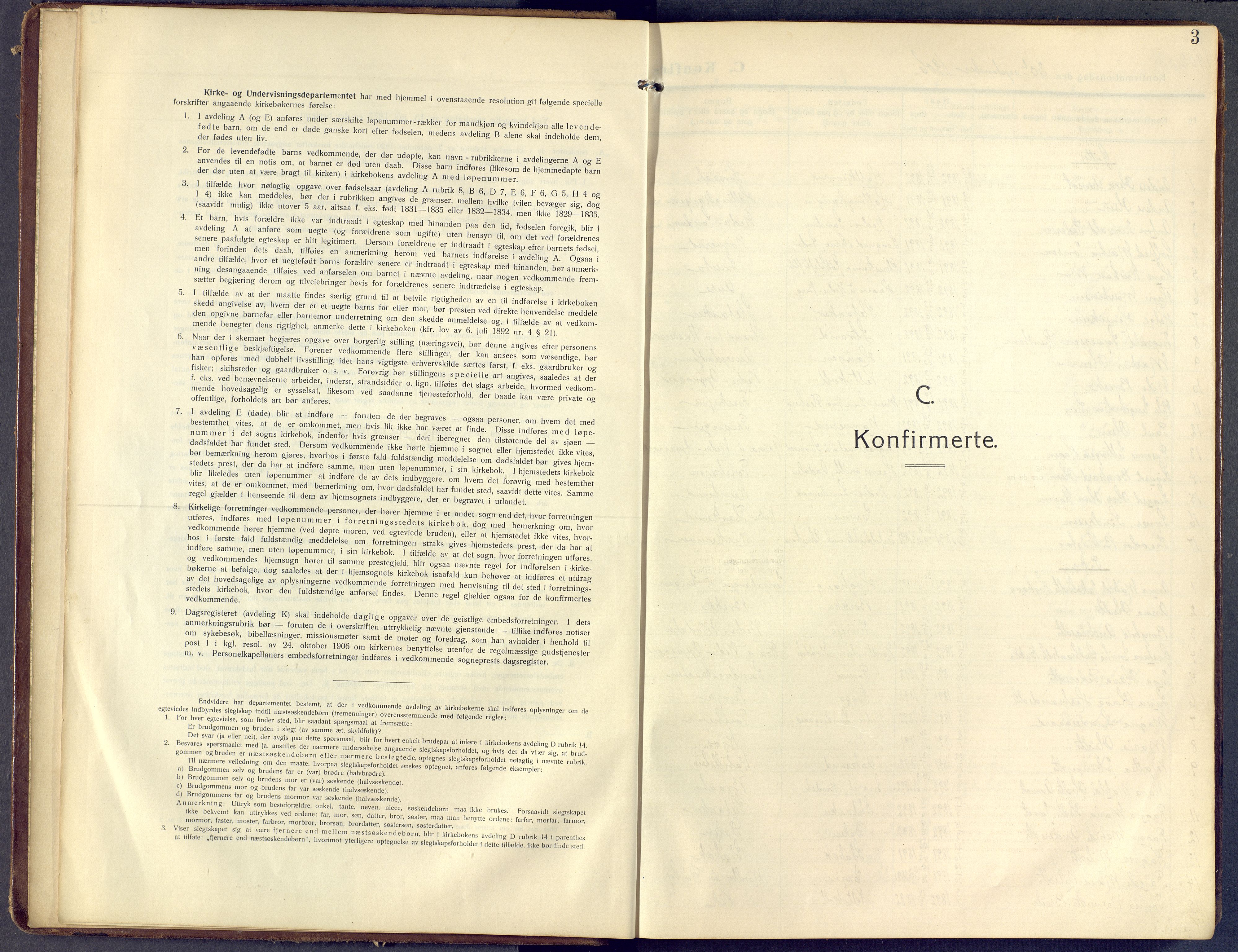 Lunder kirkebøker, SAKO/A-629/F/Fa/L0002: Parish register (official) no. I 2, 1906-1947, p. 3