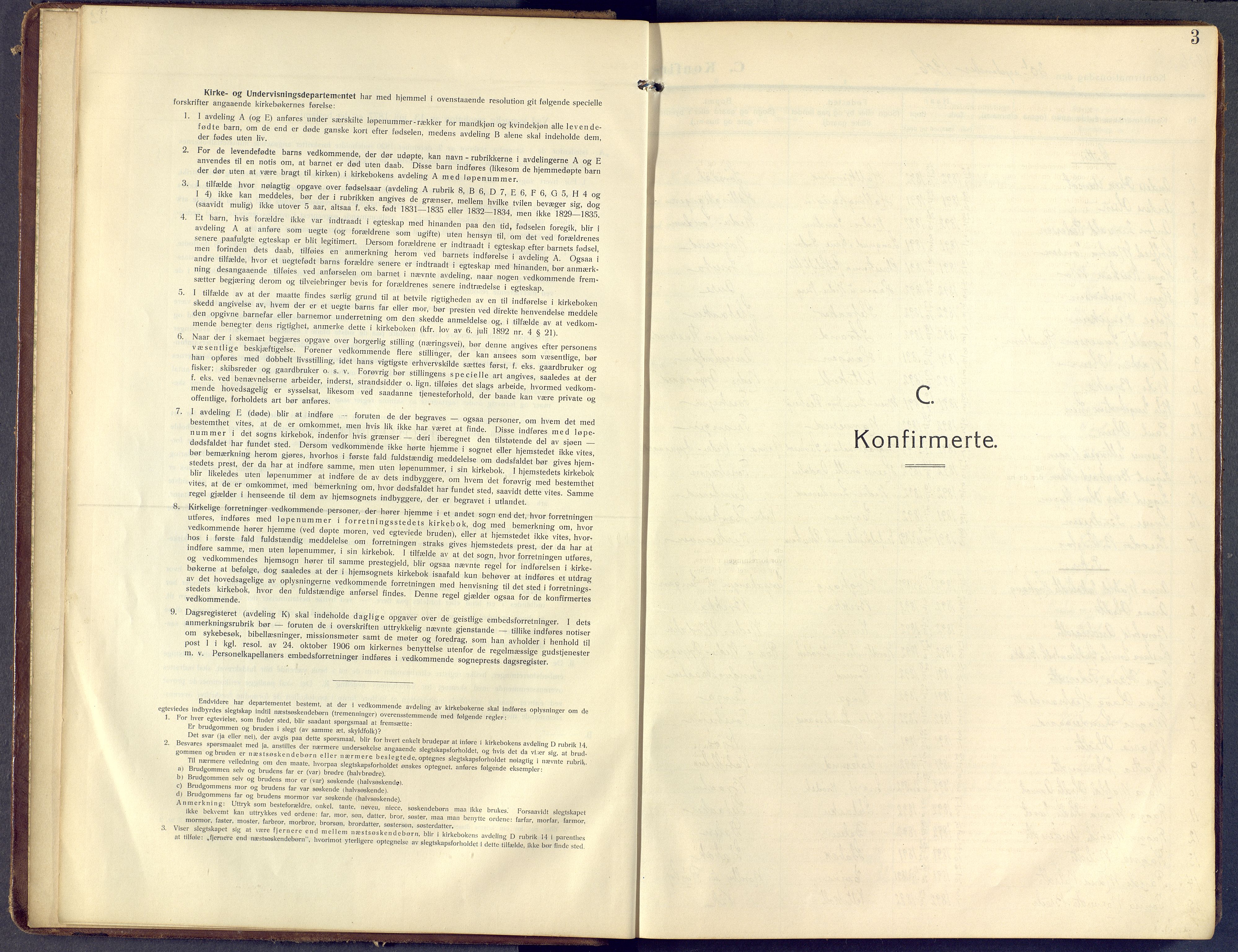 Lunder kirkebøker, AV/SAKO-A-629/F/Fa/L0002: Parish register (official) no. I 2, 1906-1947, p. 3