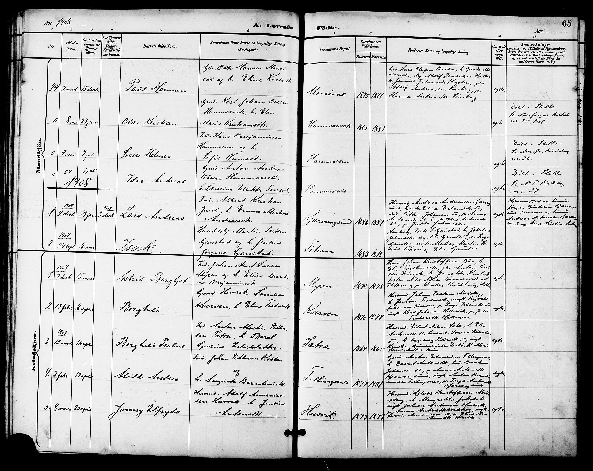 Ministerialprotokoller, klokkerbøker og fødselsregistre - Sør-Trøndelag, SAT/A-1456/641/L0598: Parish register (copy) no. 641C02, 1893-1910, p. 65