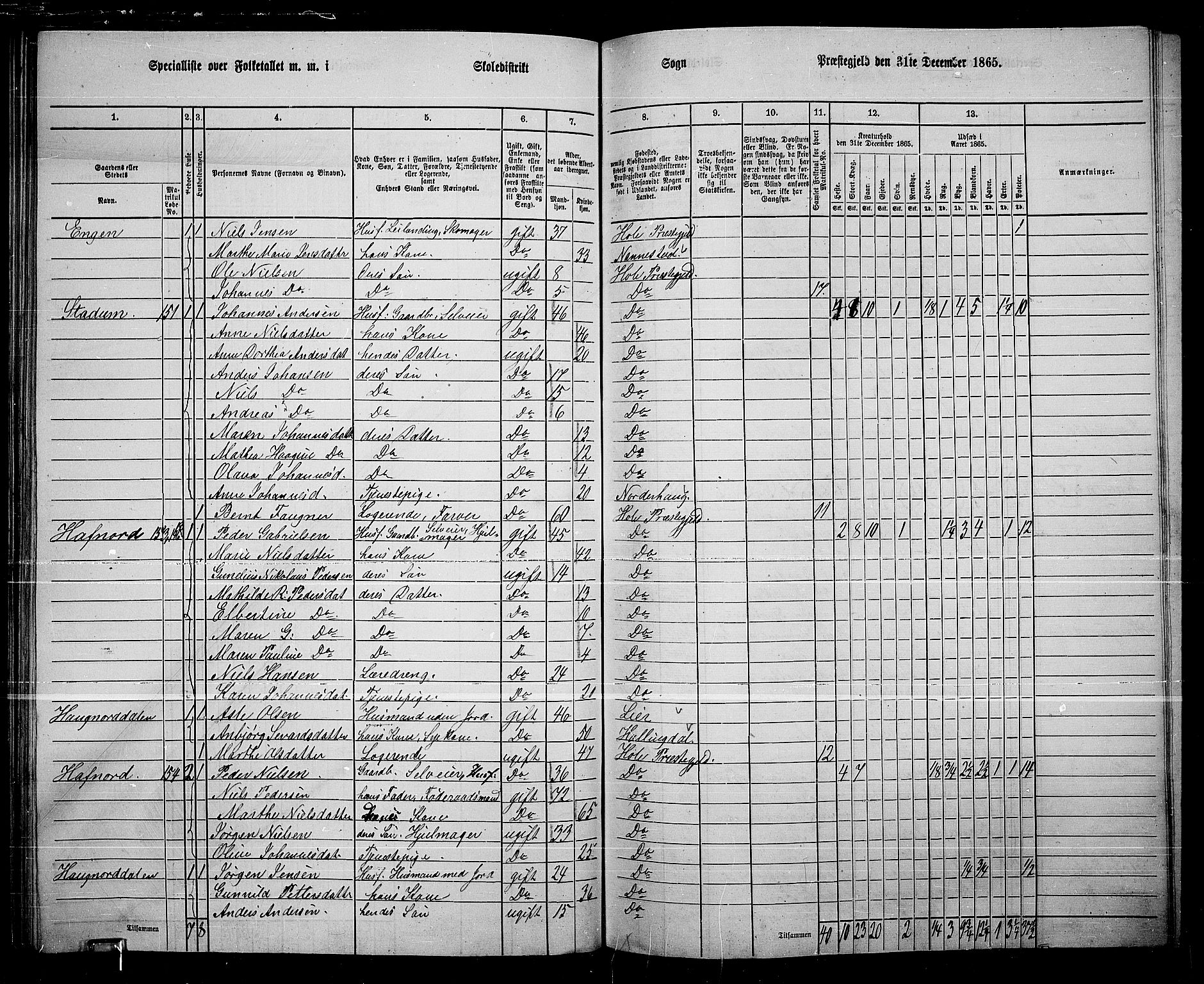 RA, 1865 census for Hole, 1865, p. 111