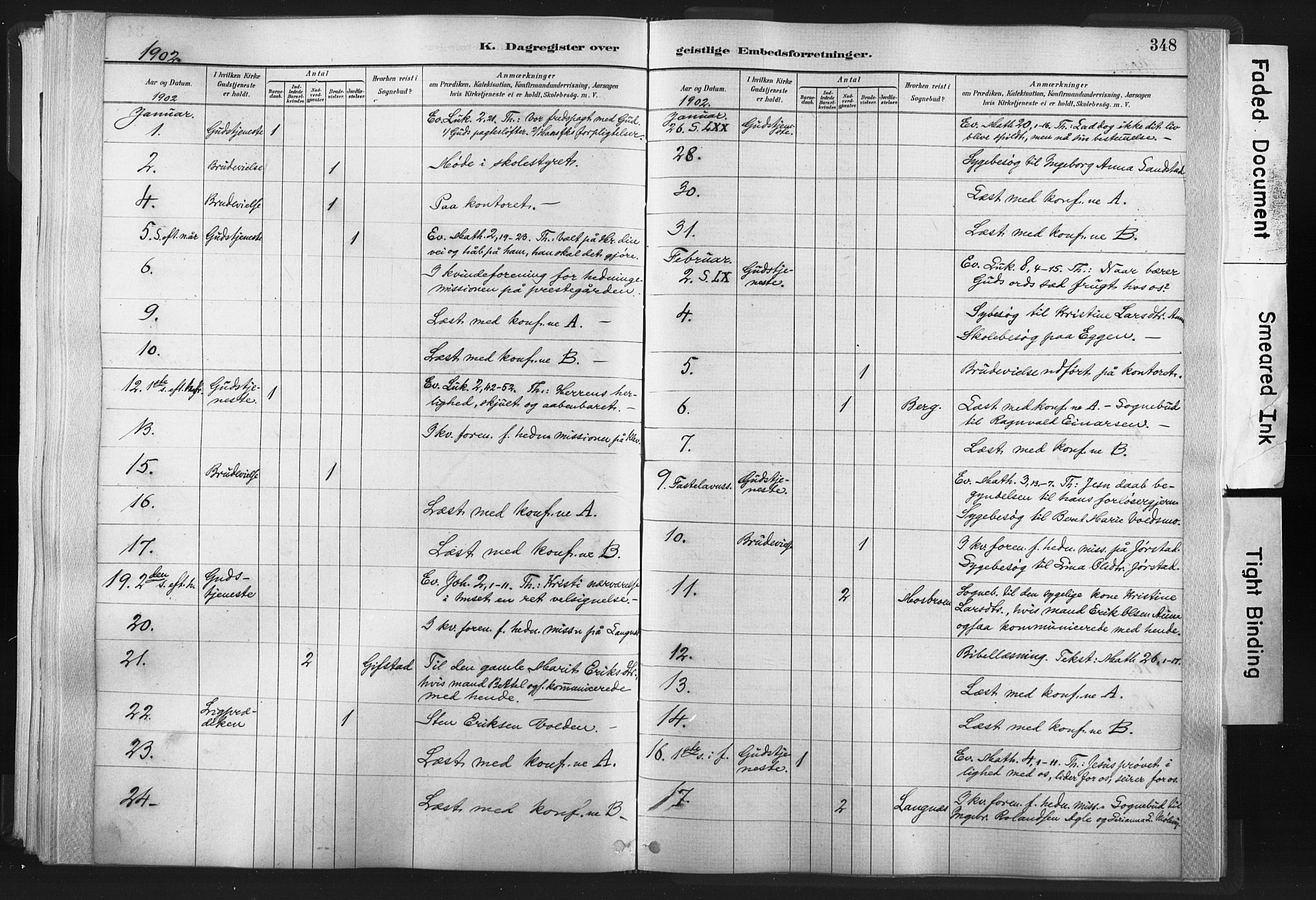 Ministerialprotokoller, klokkerbøker og fødselsregistre - Nord-Trøndelag, AV/SAT-A-1458/749/L0474: Parish register (official) no. 749A08, 1887-1903, p. 348