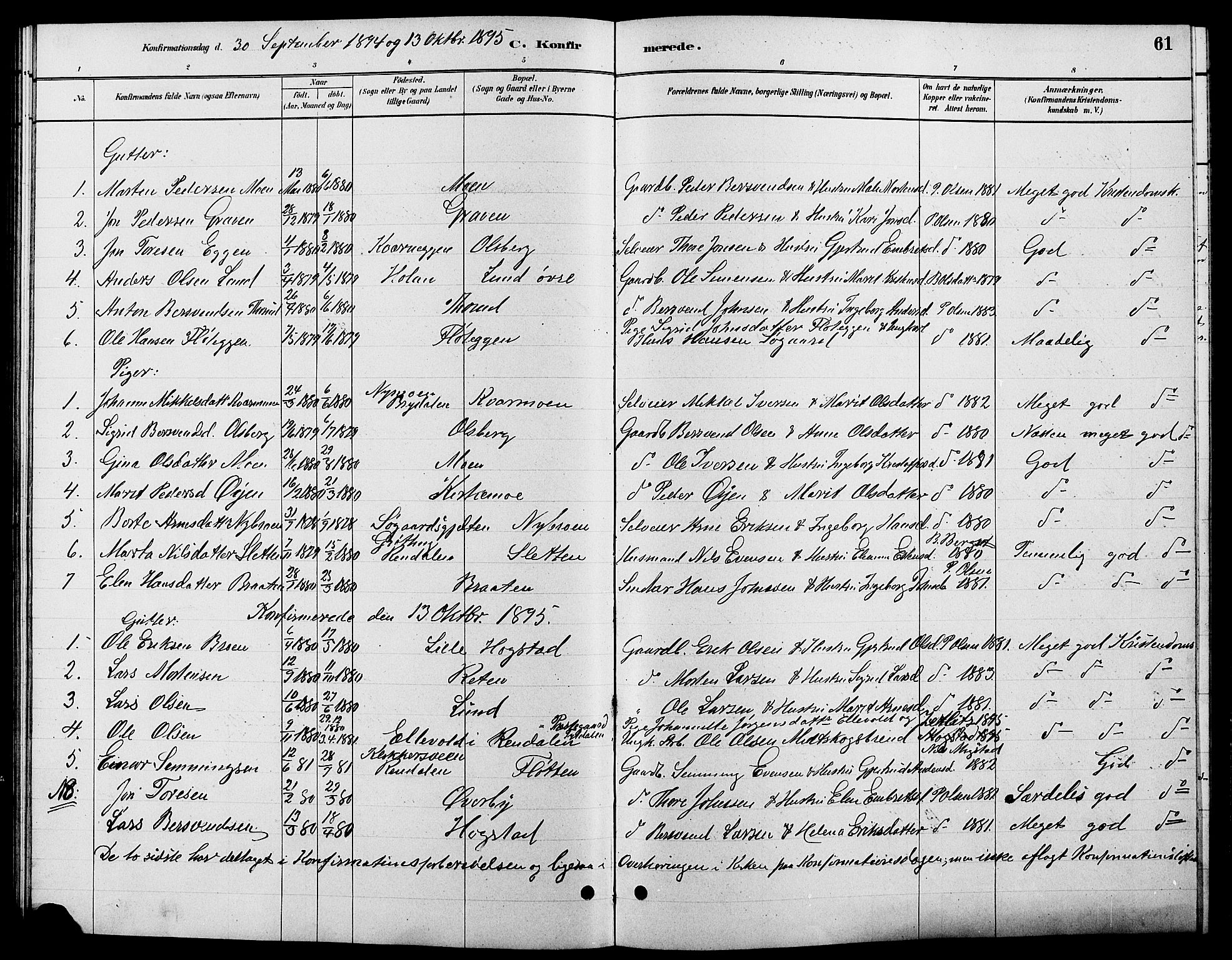 Tynset prestekontor, SAH/PREST-058/H/Ha/Hab/L0007: Parish register (copy) no. 7, 1880-1901, p. 61