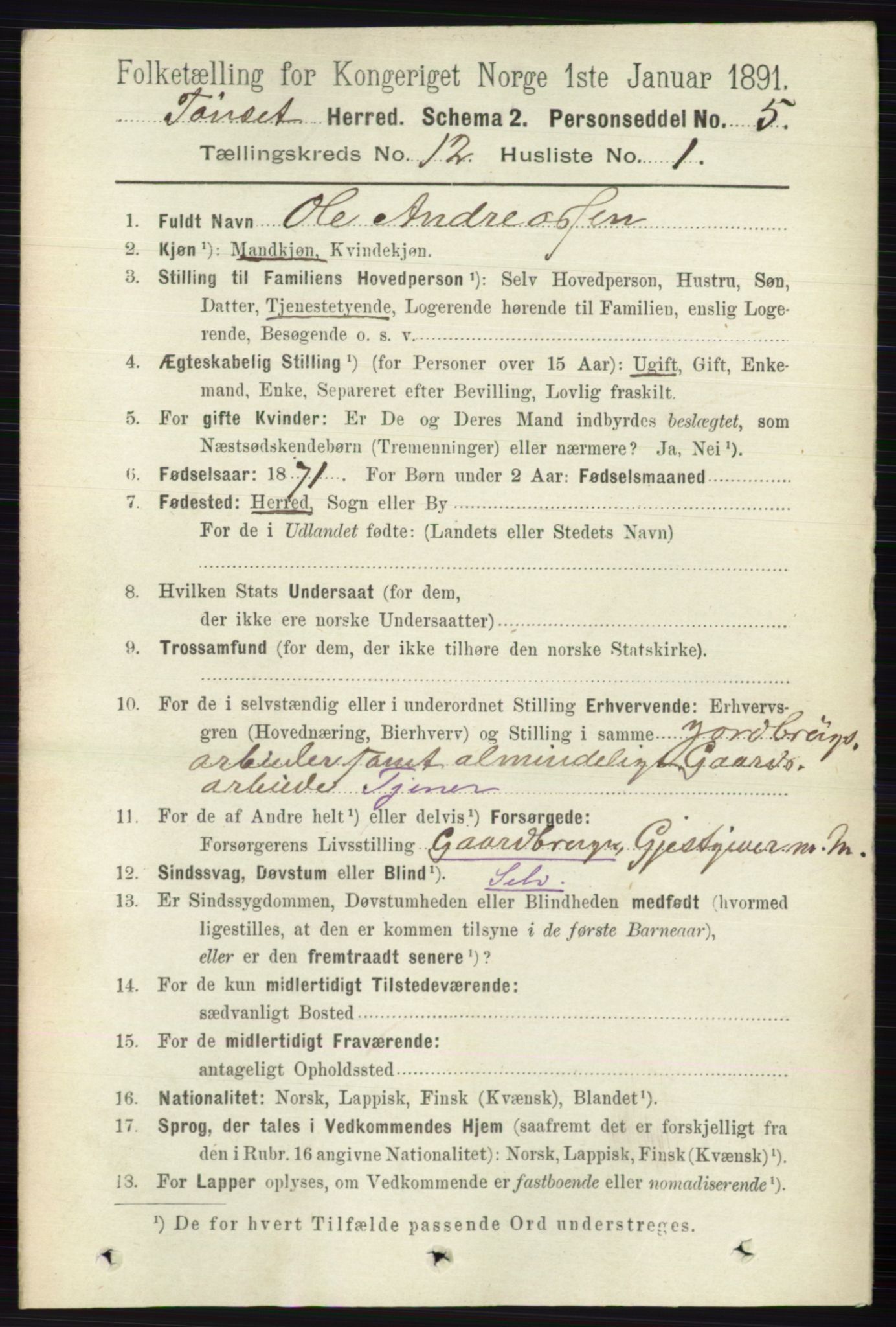 RA, 1891 census for 0437 Tynset, 1891, p. 3204