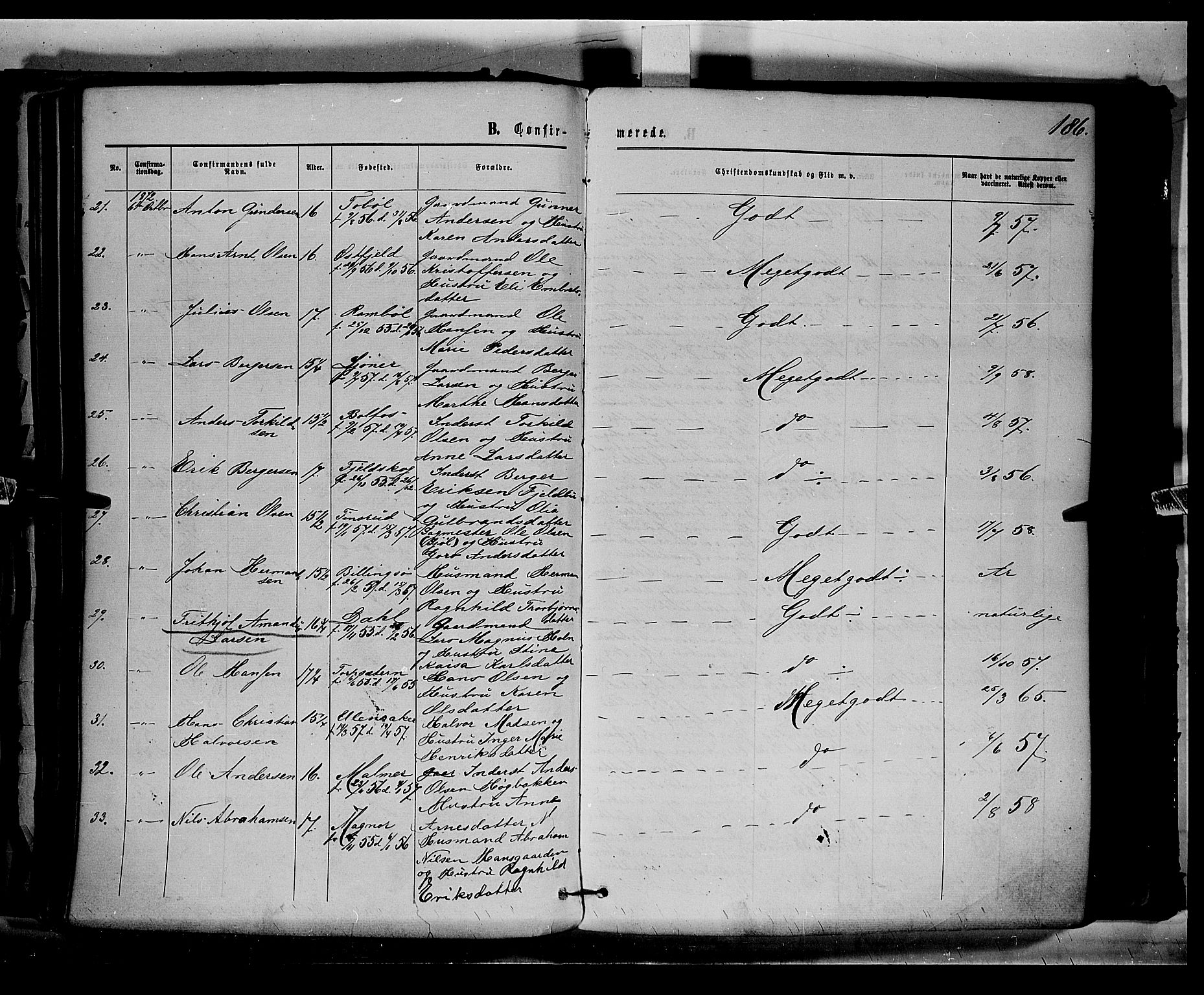 Eidskog prestekontor, AV/SAH-PREST-026/H/Ha/Haa/L0002: Parish register (official) no. 2, 1867-1878, p. 186