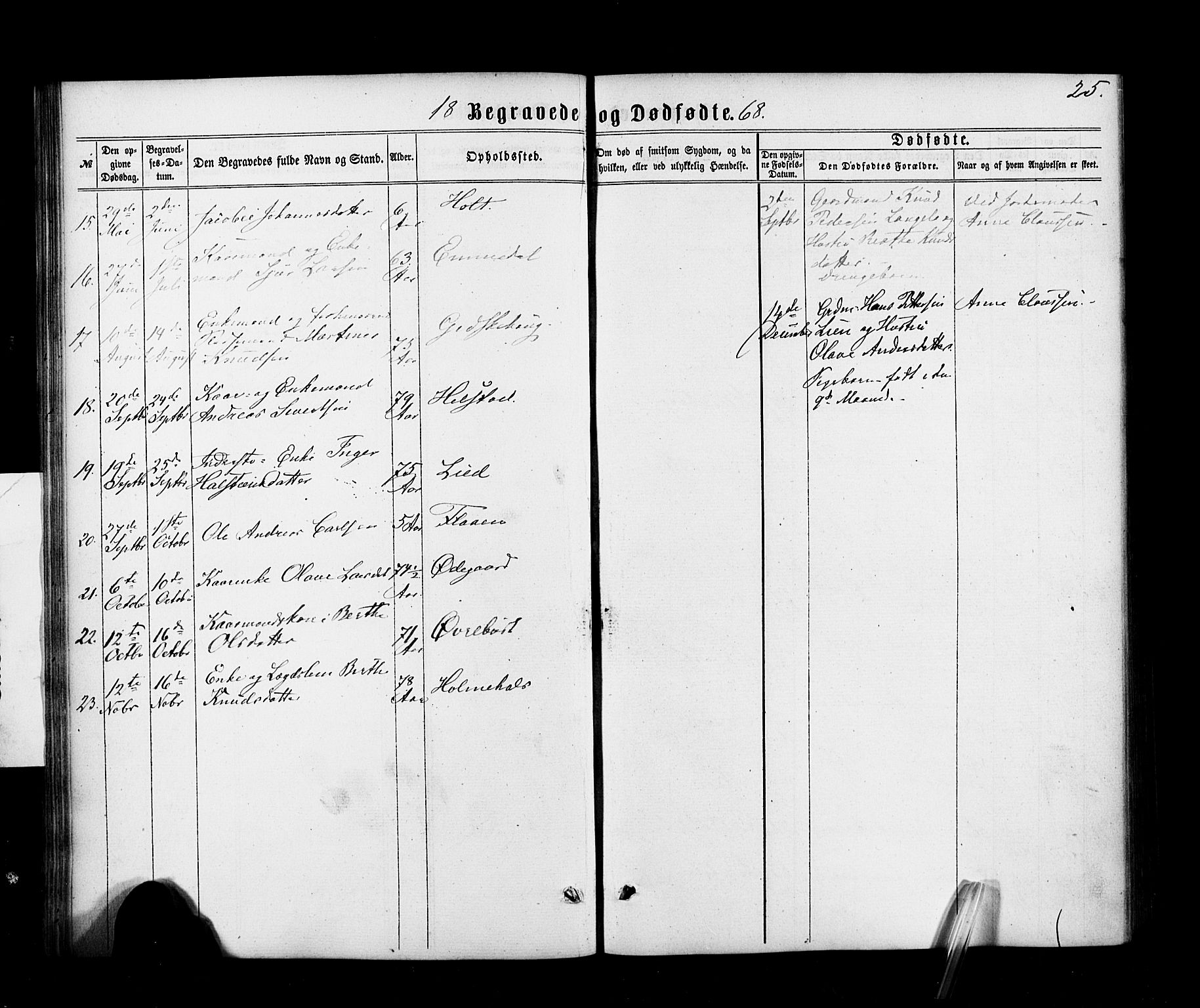 Ministerialprotokoller, klokkerbøker og fødselsregistre - Møre og Romsdal, AV/SAT-A-1454/520/L0282: Parish register (official) no. 520A11, 1862-1881, p. 25