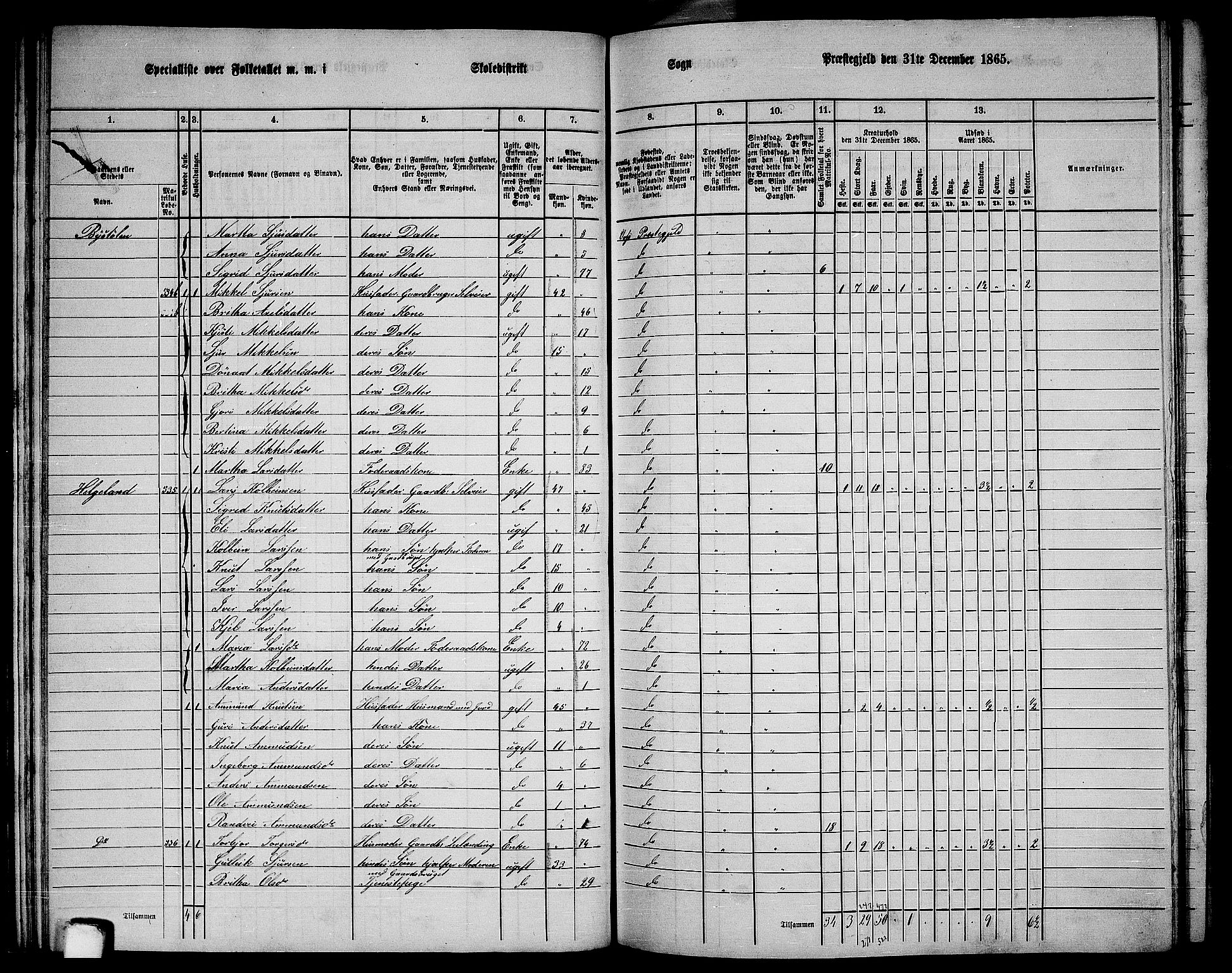 RA, 1865 census for Voss, 1865, p. 291