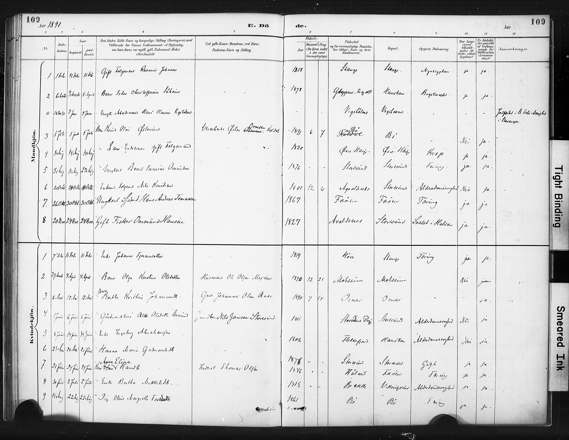 Torvastad sokneprestkontor, SAST/A -101857/H/Ha/Haa/L0015: Parish register (official) no. A 14, 1888-1899, p. 109